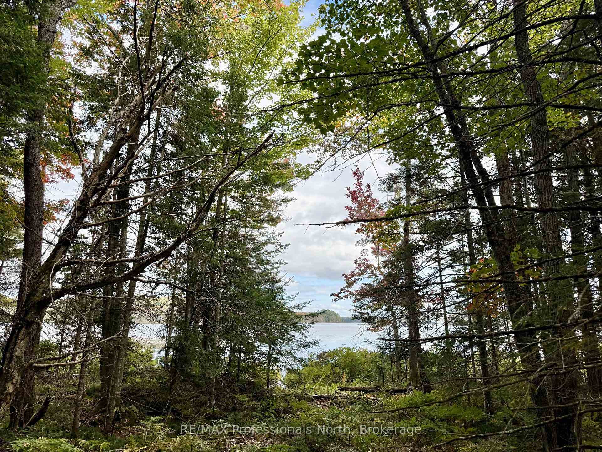 9 Woodland Drive photo 5