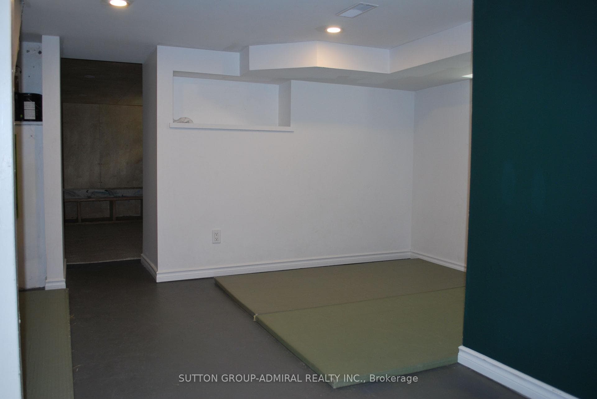 Basement Gym Area