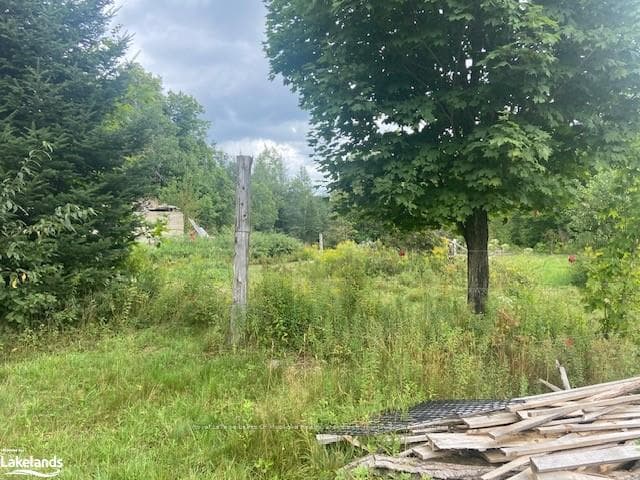 573 MUSKOKA Road photo 34