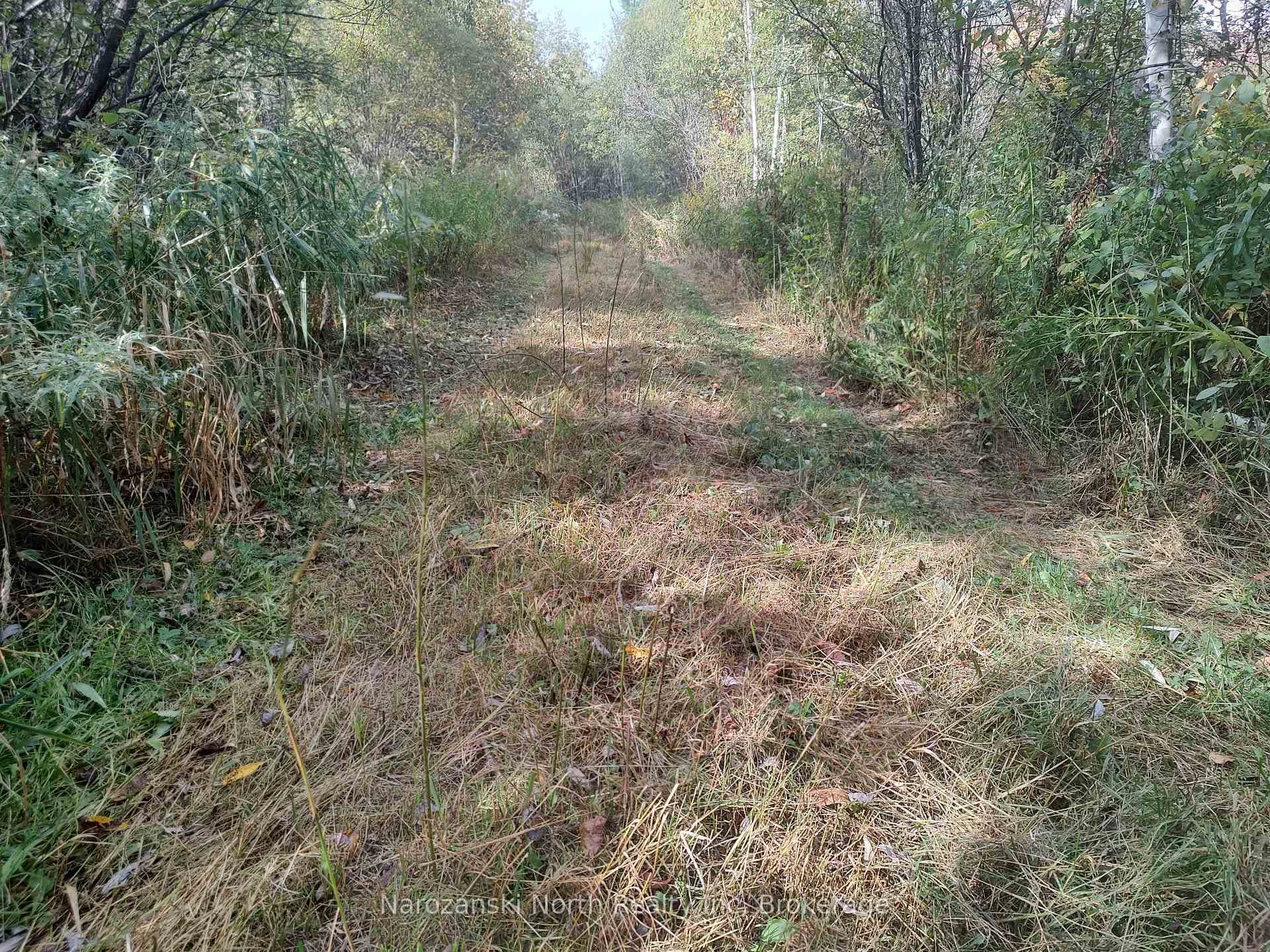 trail to cabin