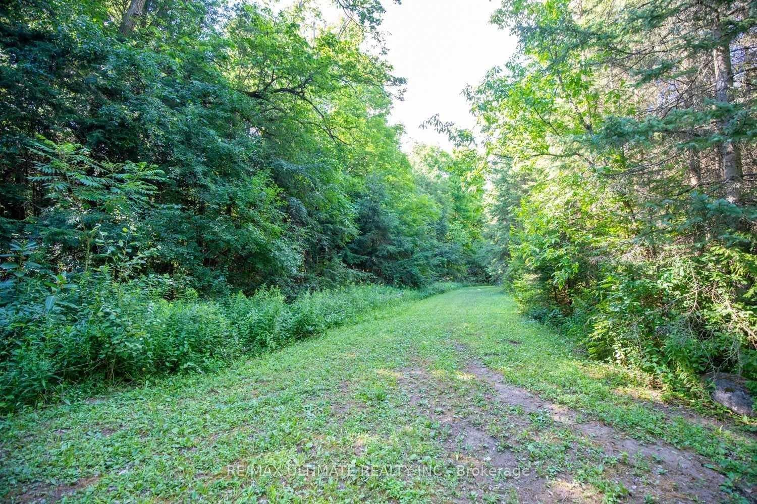 6472 Country Lane photo 39
