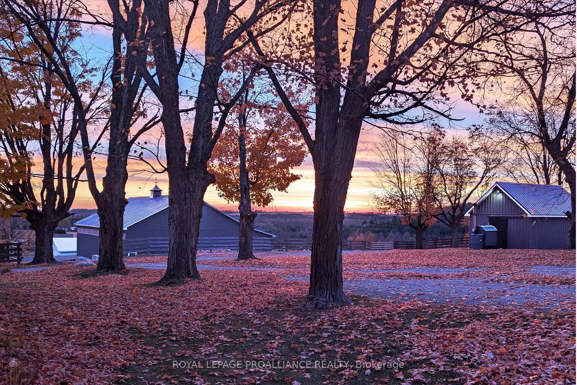 Fall Sunrise