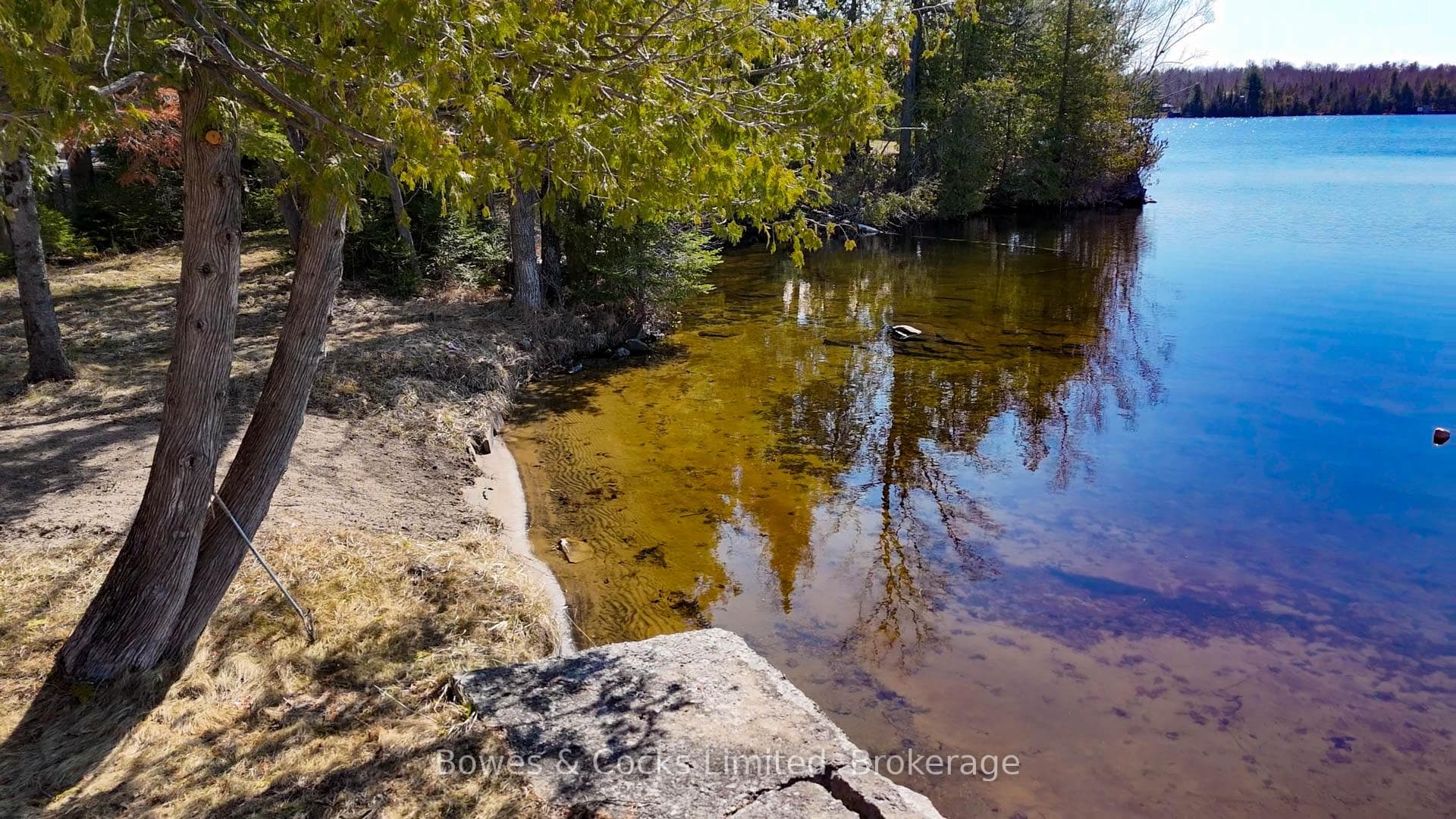 348 Steenburg Lake Road photo 41