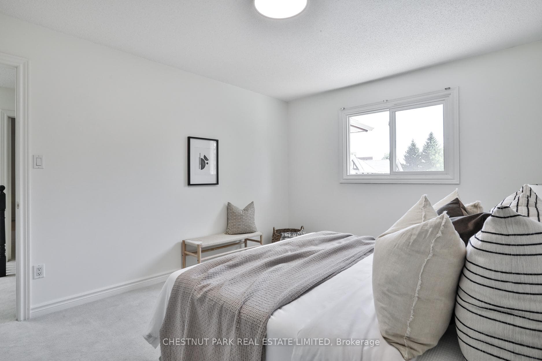 20 Lilley Court photo 27