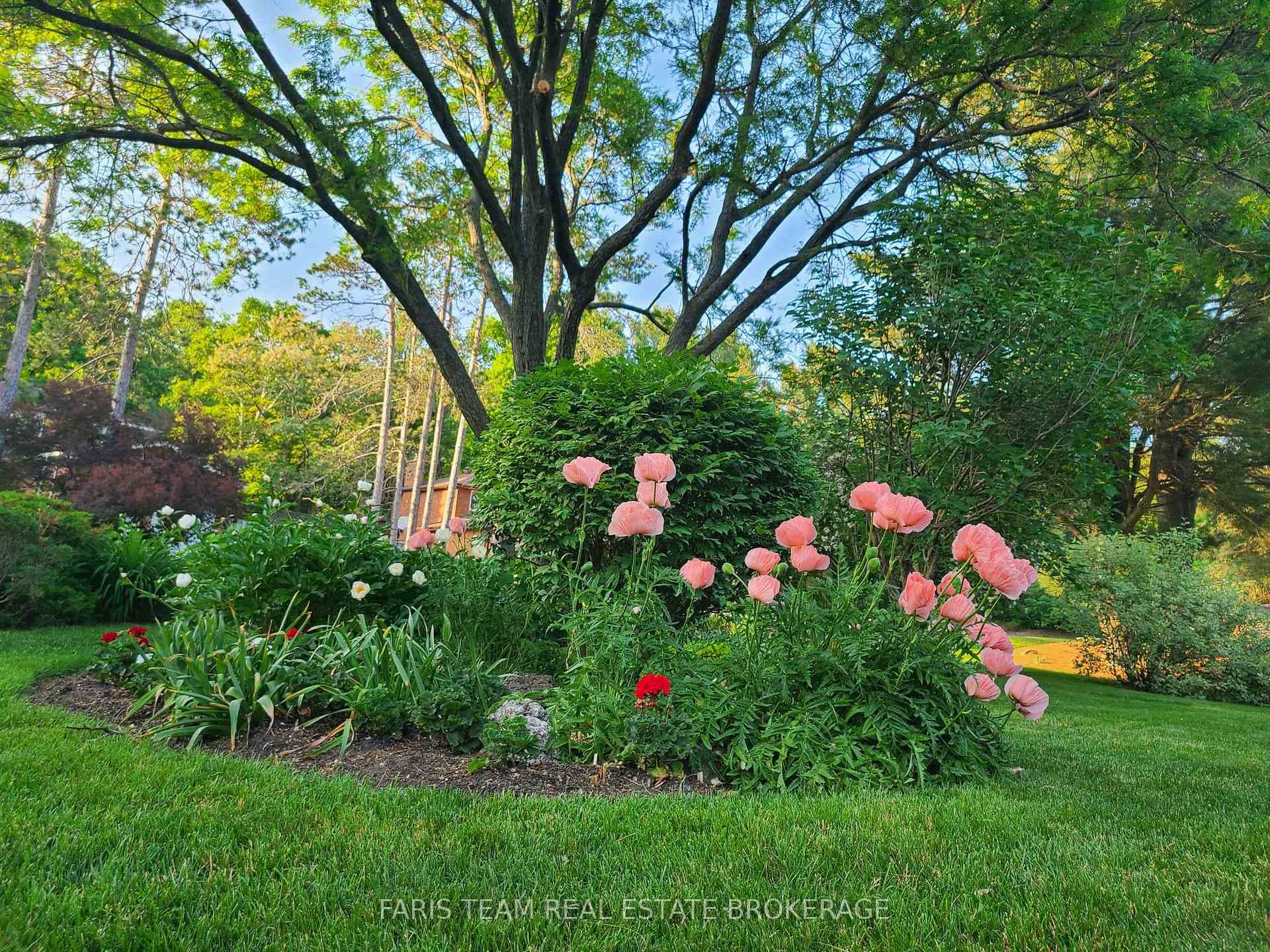 21 Pooles Road photo 48