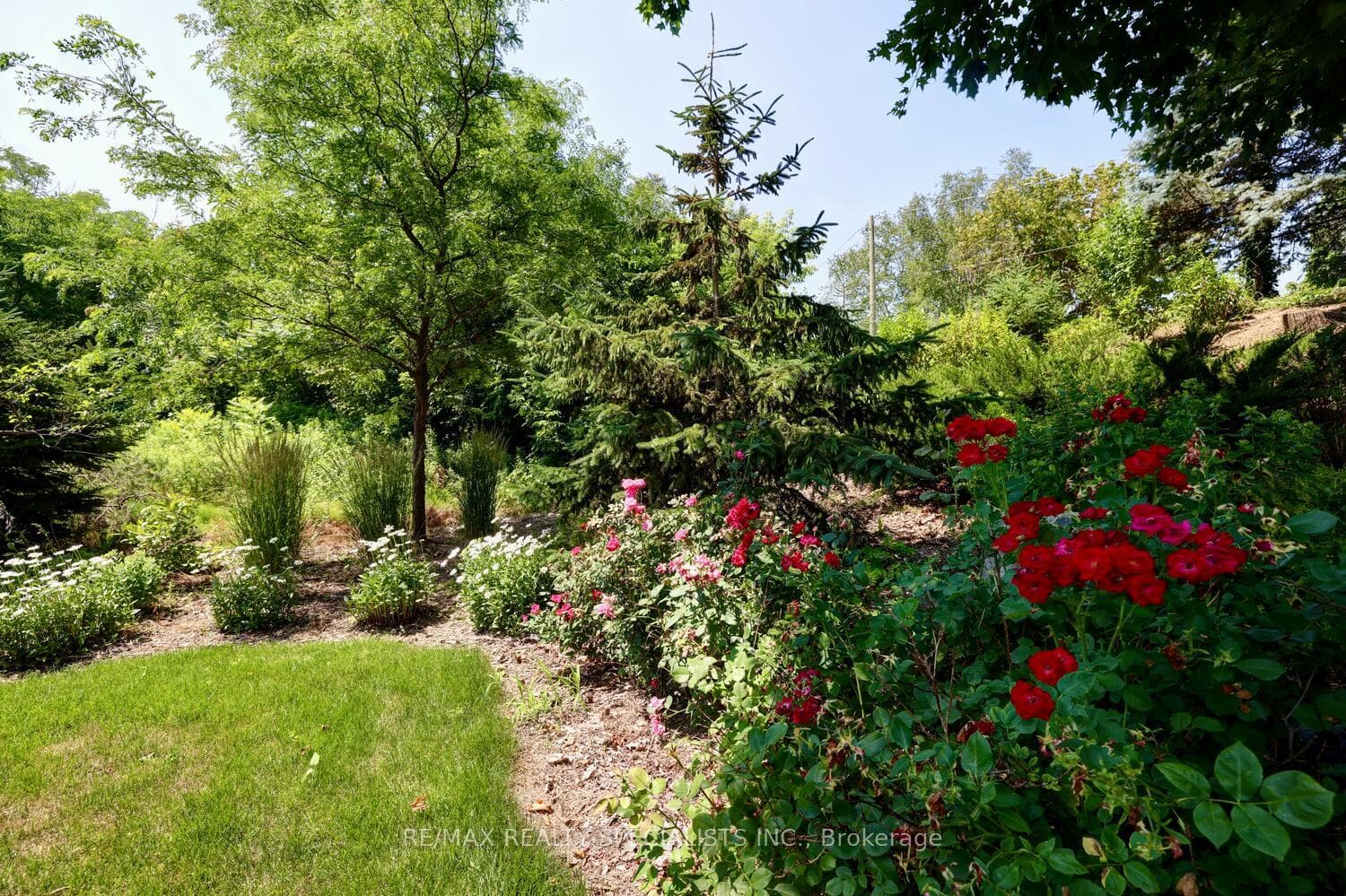 Thousands of blooming perennials.