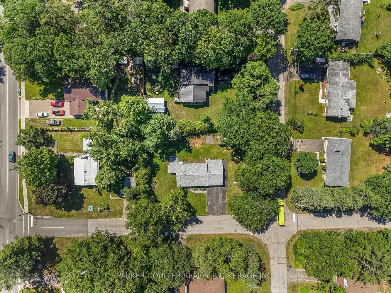 85 Evans Avenue photo 45
