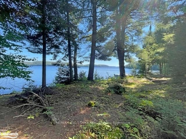 1156 Smoke Lake N/A photo 7