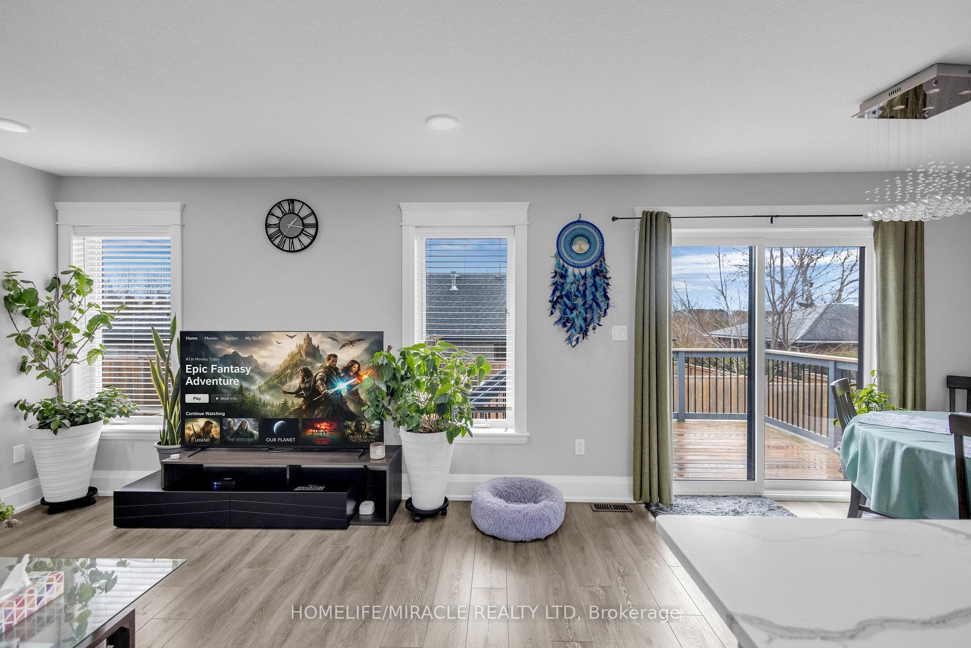 172 Miller Street photo 24