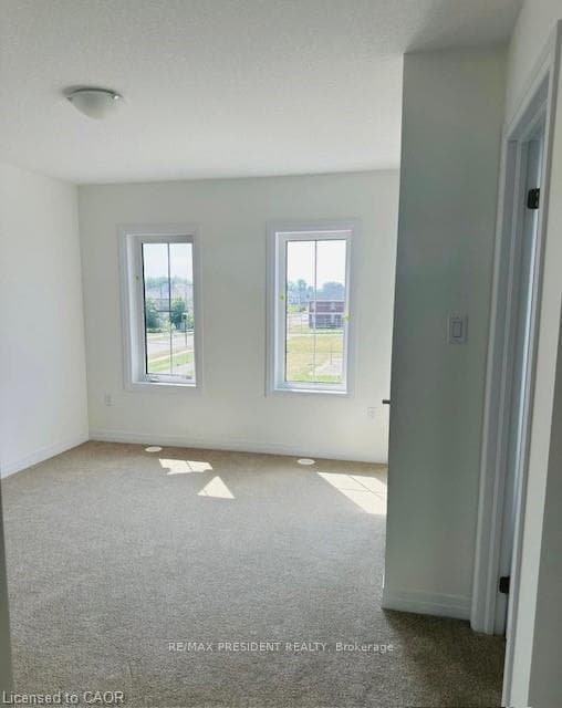12 Lilac Lane photo 5