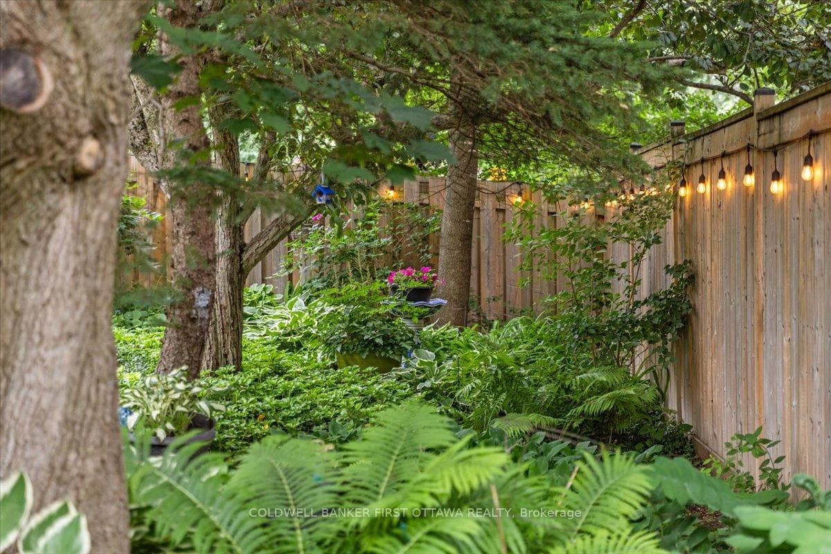 35 Dressler Drive photo 9