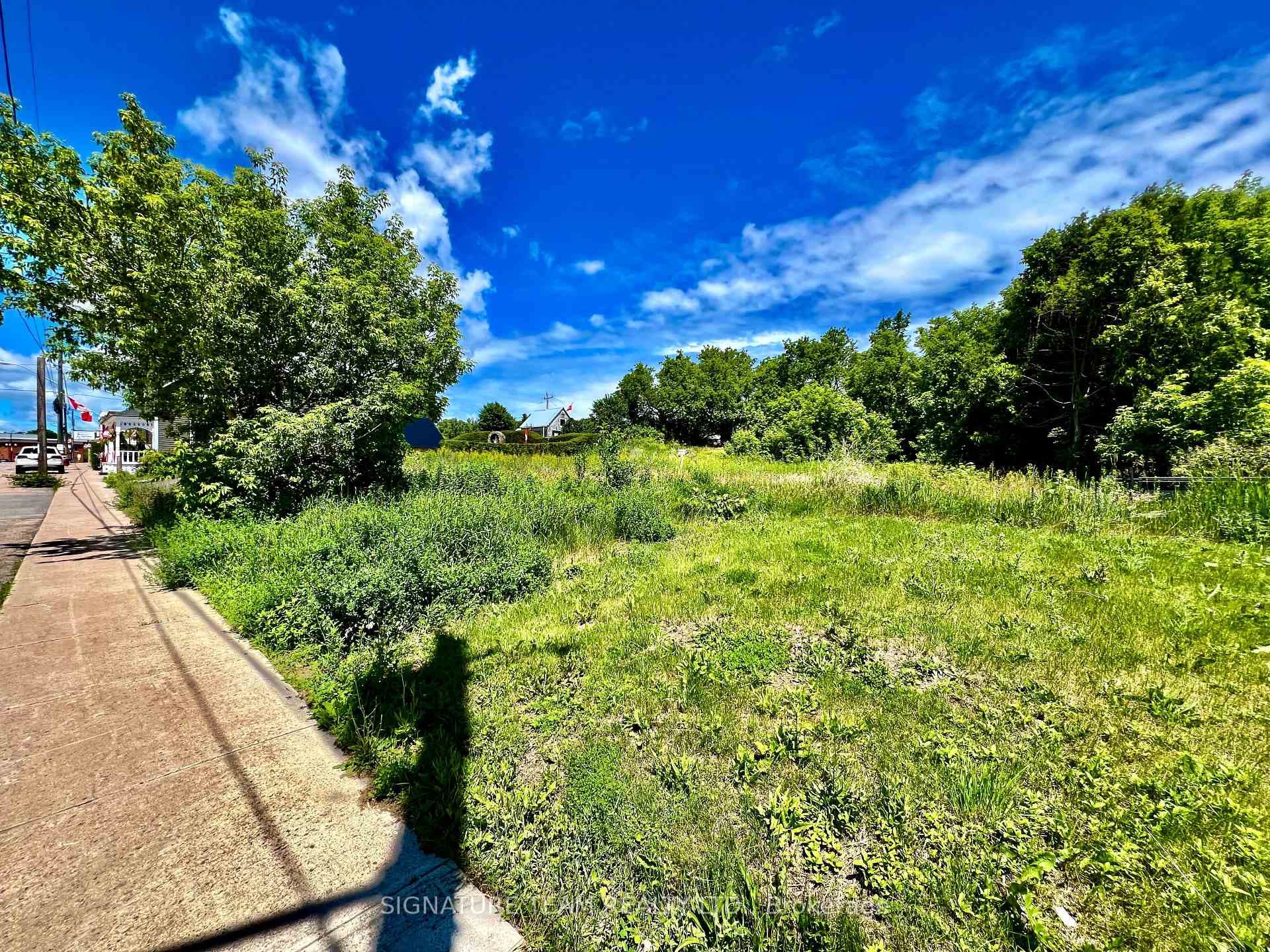 203 John Street photo 10