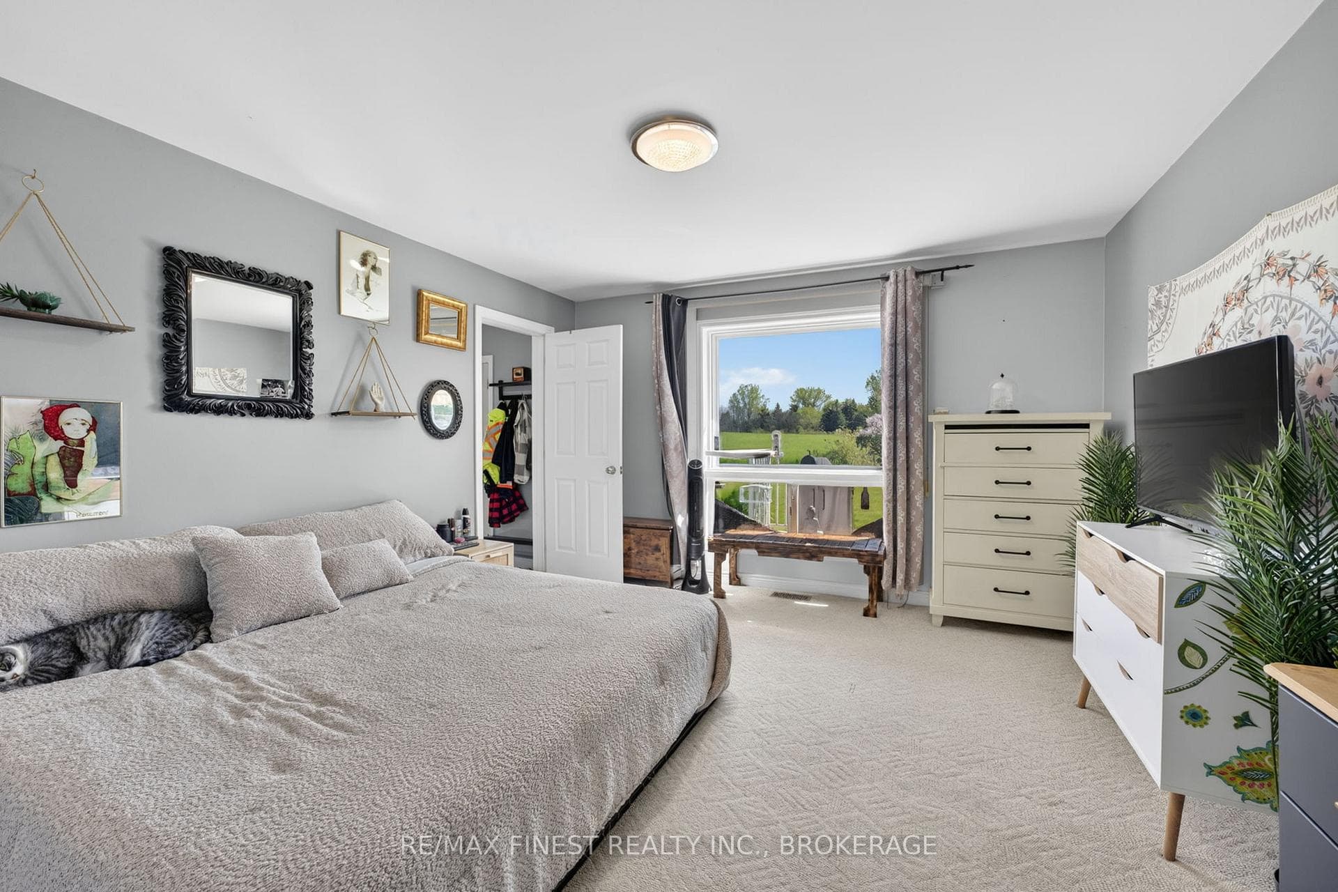 3 Mary Avenue photo 29