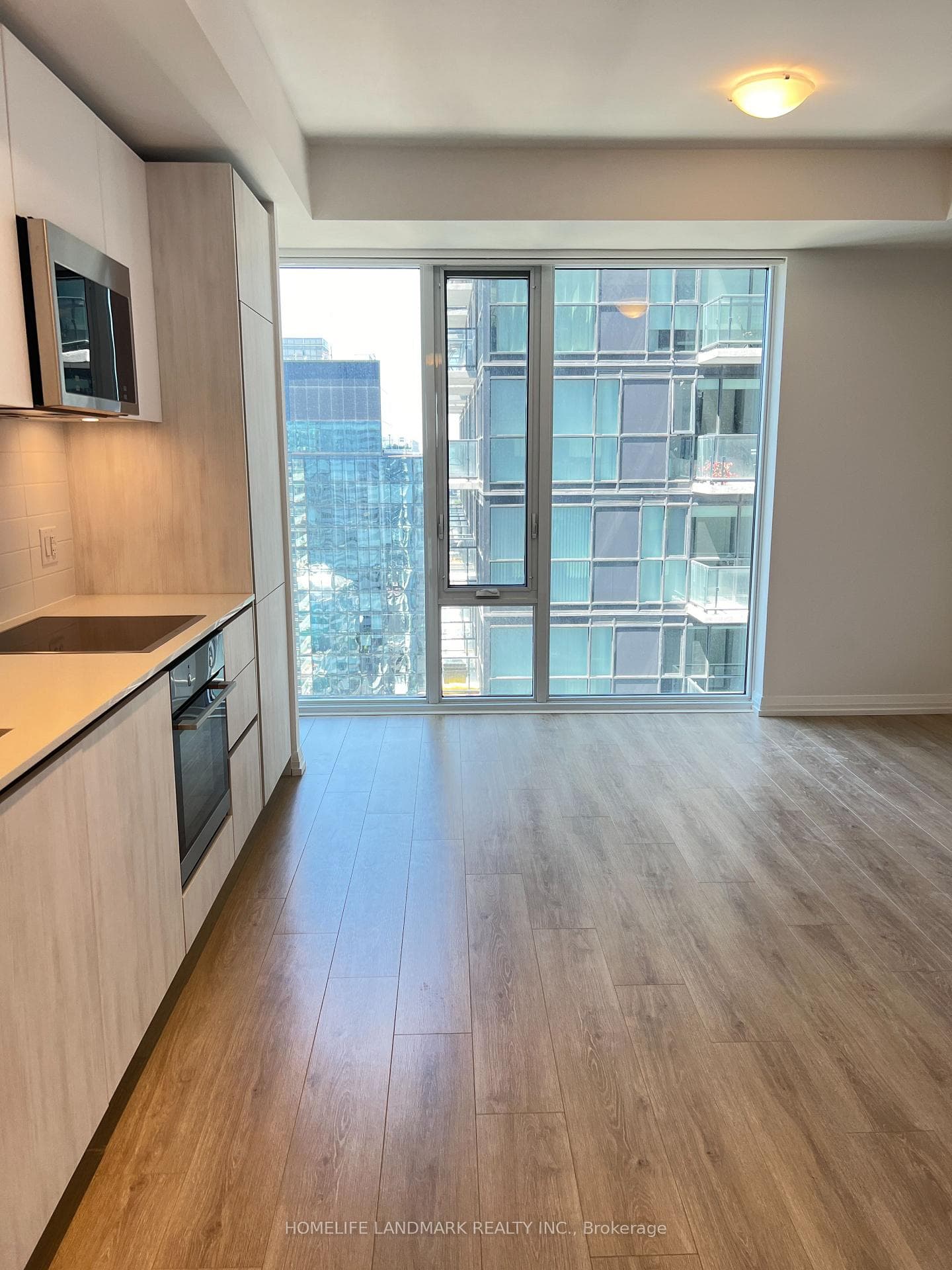 8 Widmer Street Unit 3615 photo 9