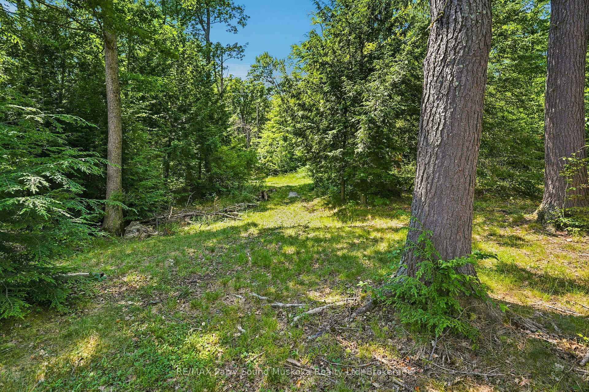 24 South Crane Lake Road photo 32