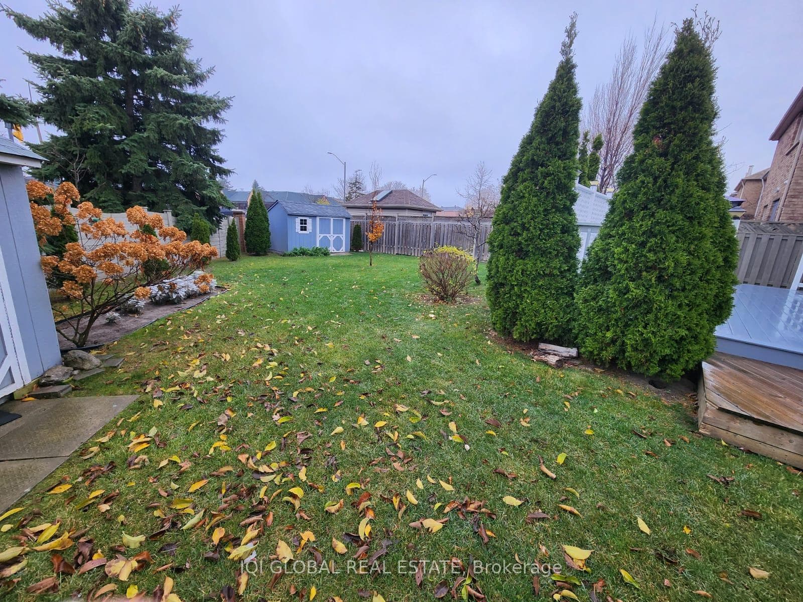 91 Joycedale Street photo 31
