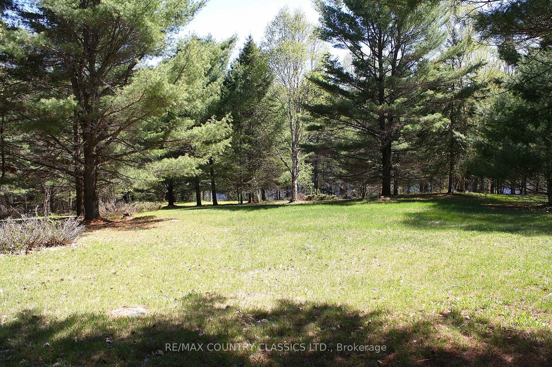 1060 Little Ireland Road photo 25
