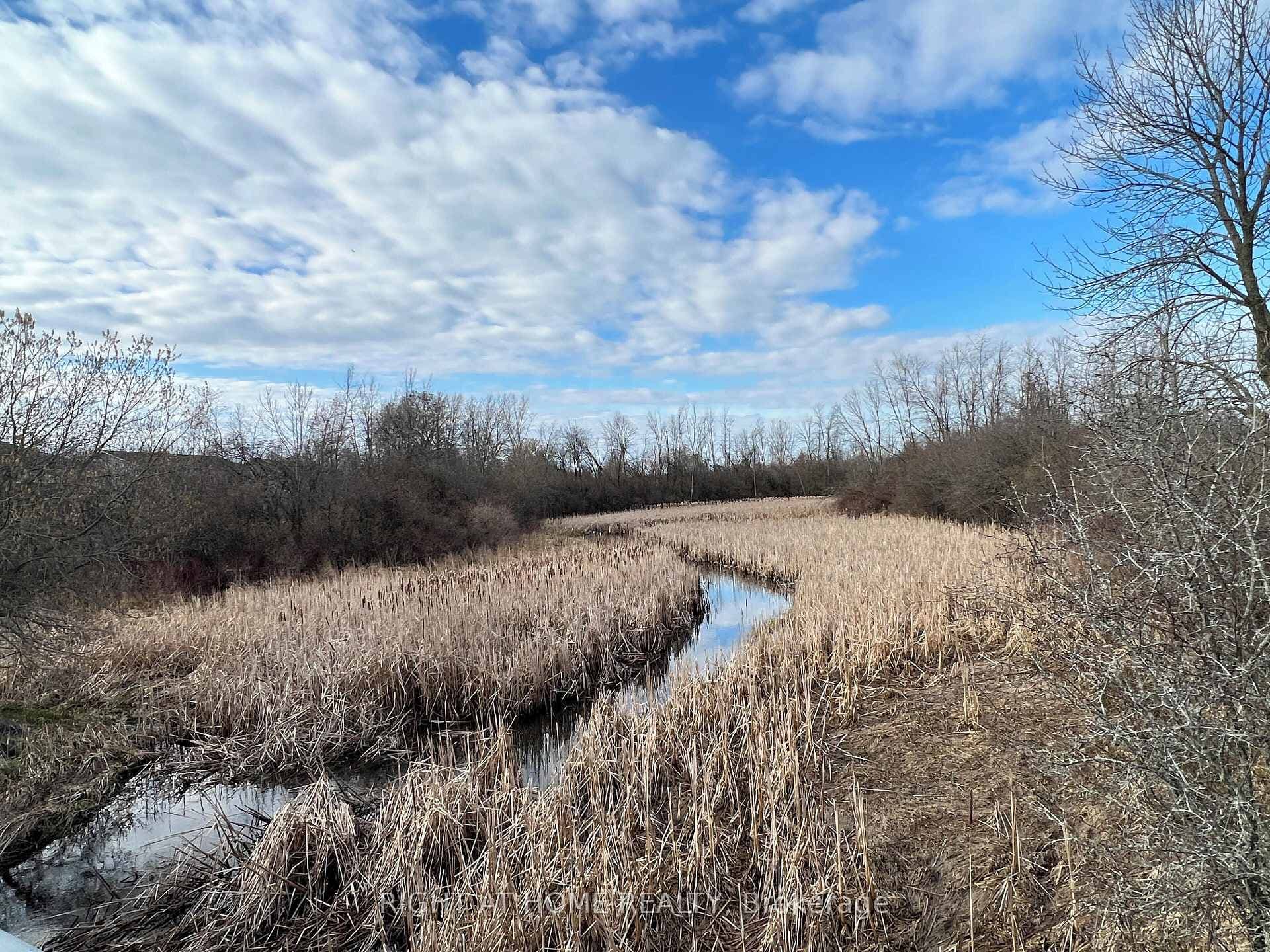 Trail behind the house