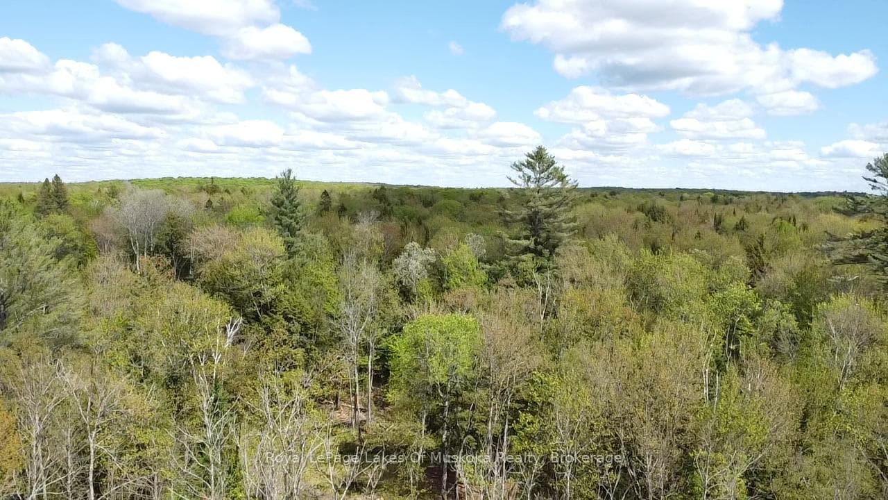 887 Star Lake Road photo 12