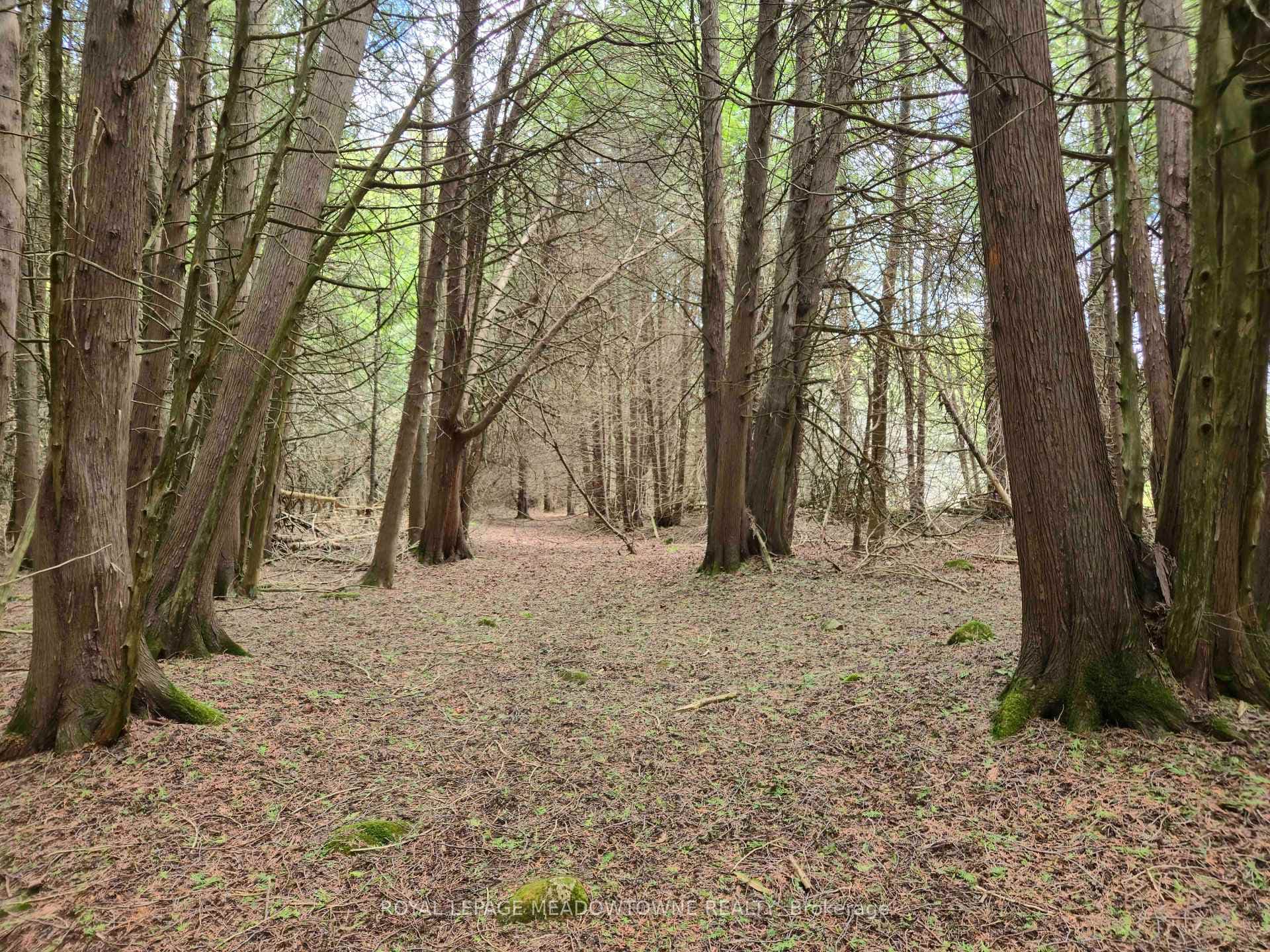 13489 Fourth Line Nass 98 Acres