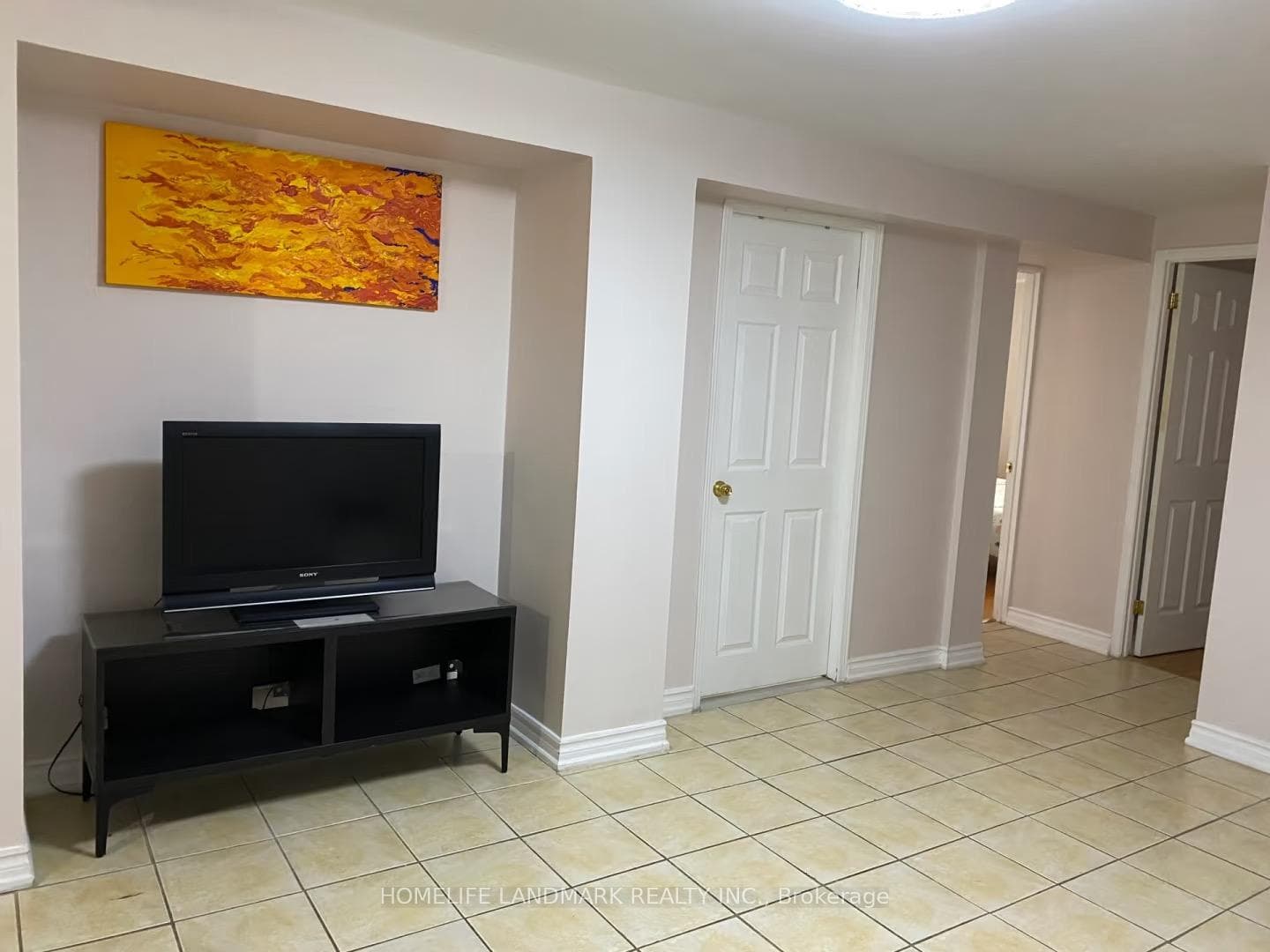 Basement Living Room