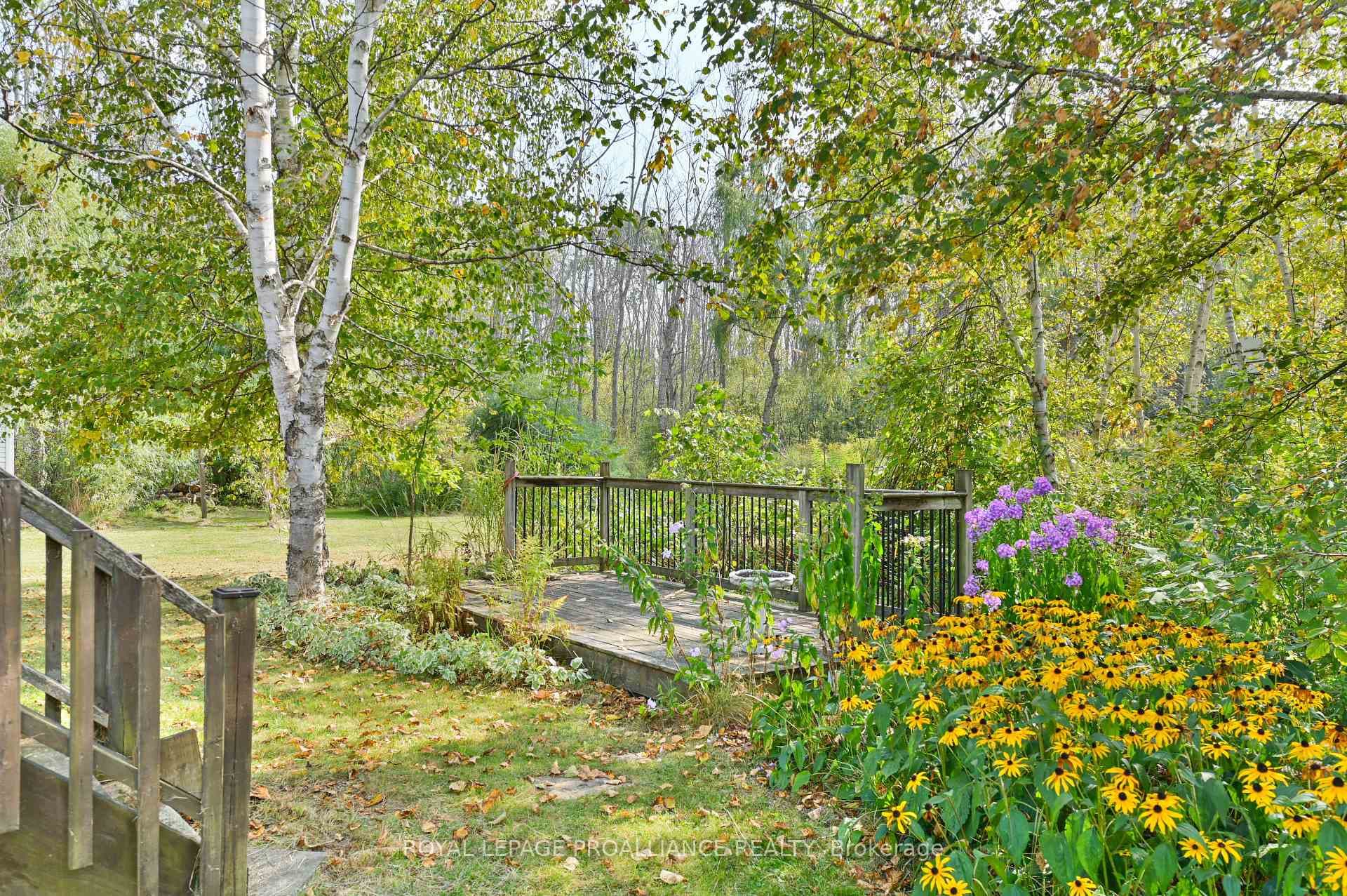 21289 Loyalist Parkway photo 35
