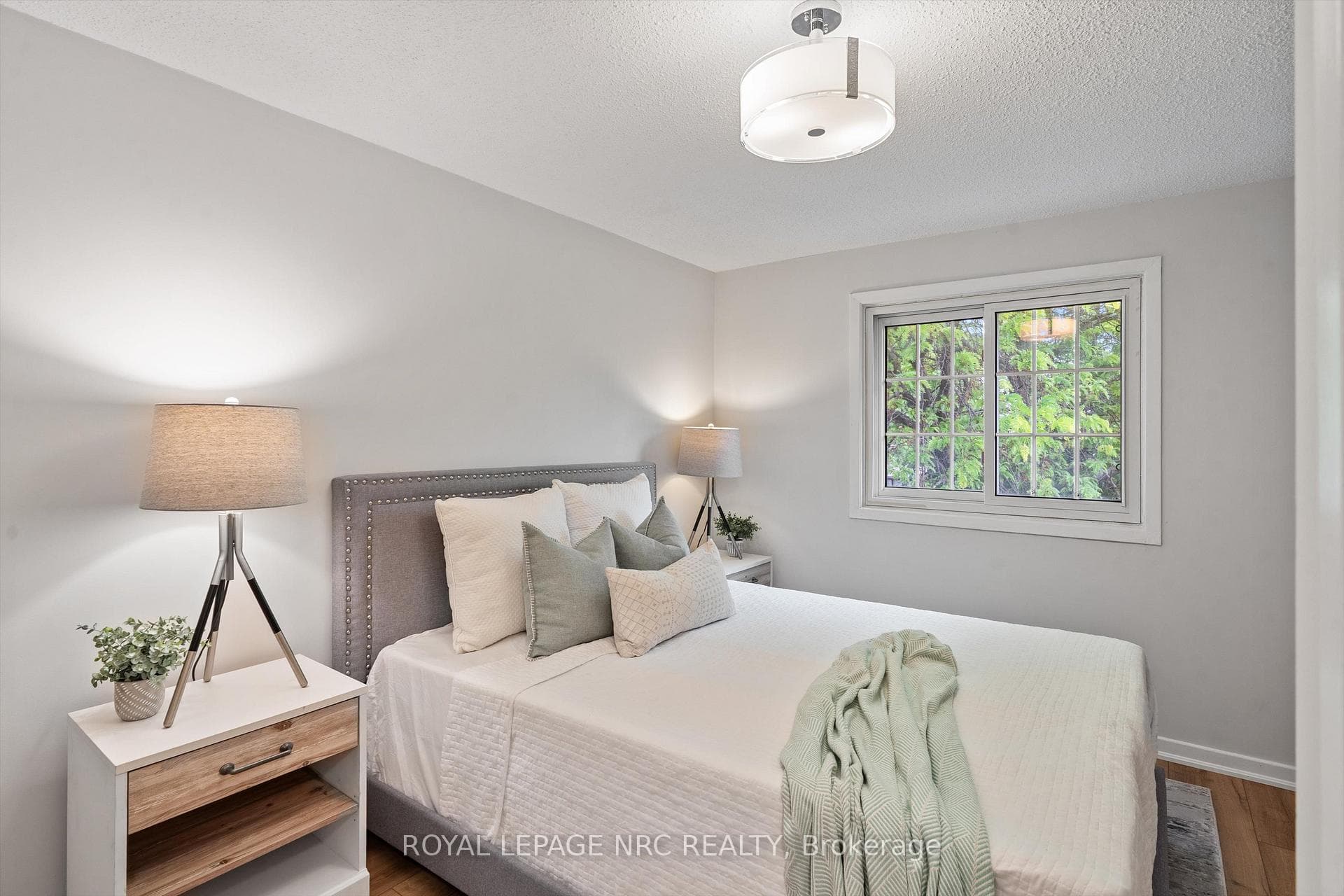 11 Dianne Drive photo 16