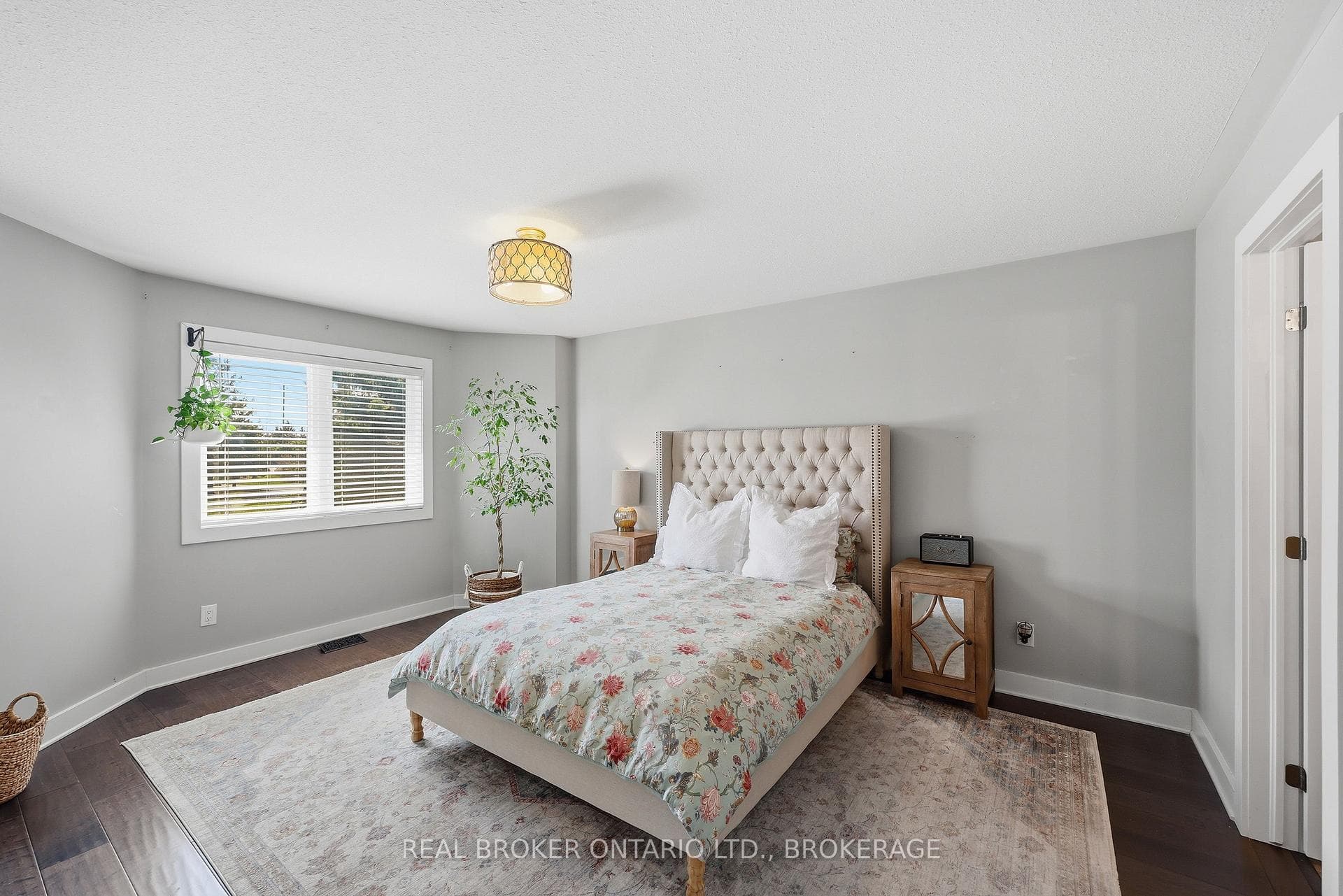 221 CLIPPER Court photo 28