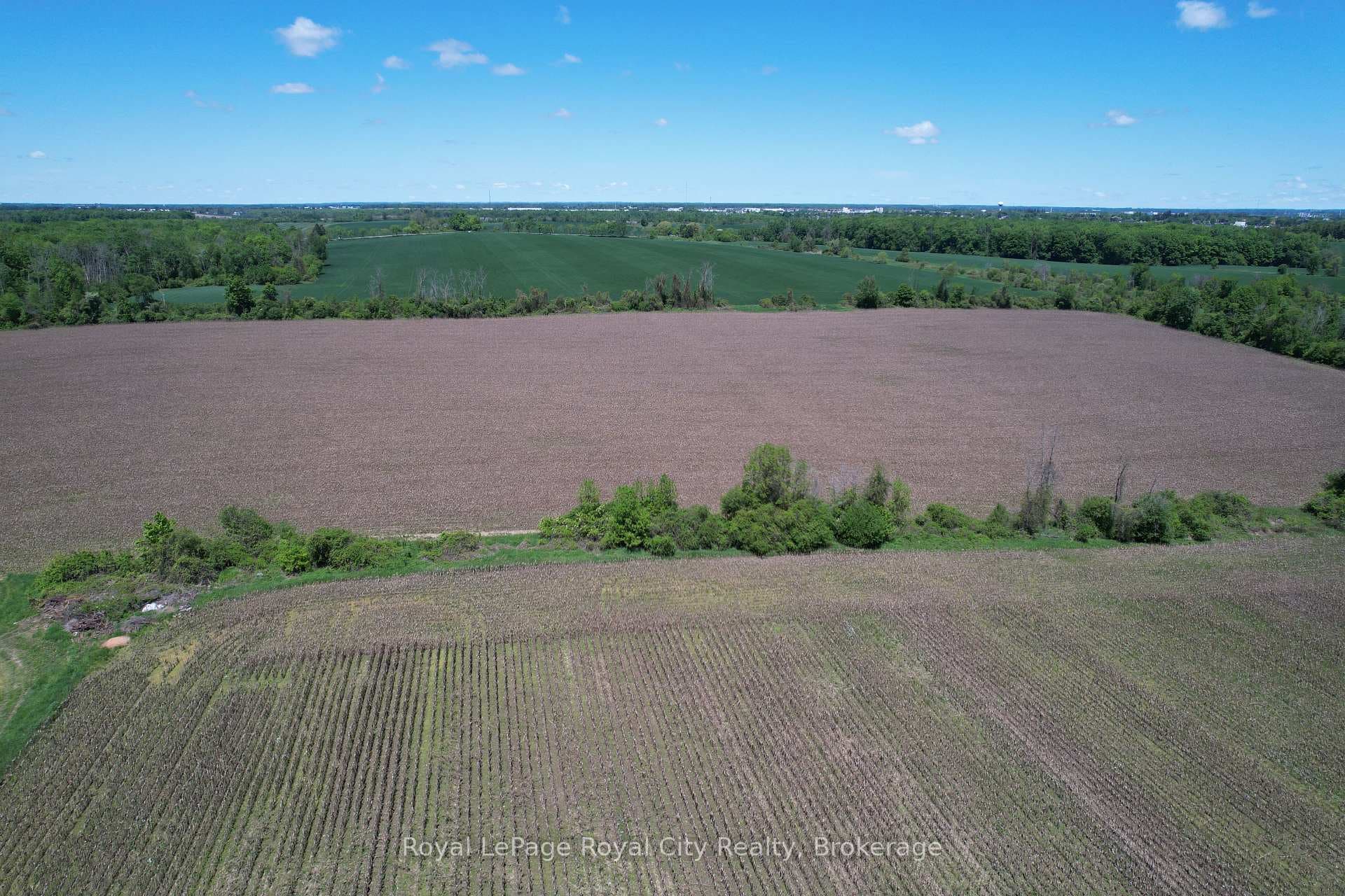 7096 Fife Road photo 11