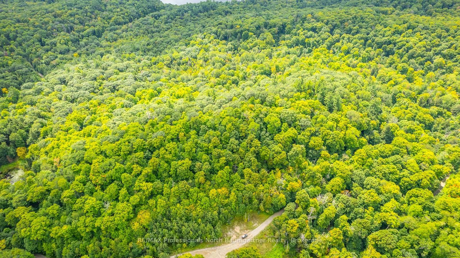 0 ADELINE Trail photo 22