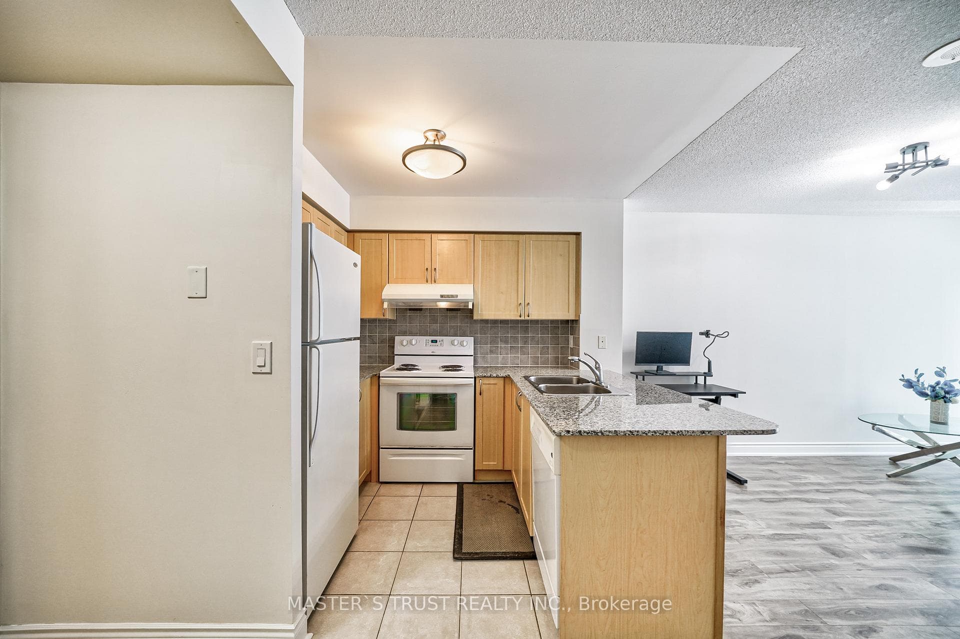 55 South Town Centre Boulevard Unit 506 photo 6