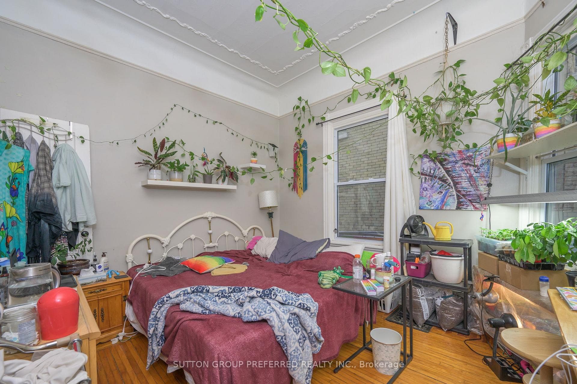 51 Stanley Street photo 10
