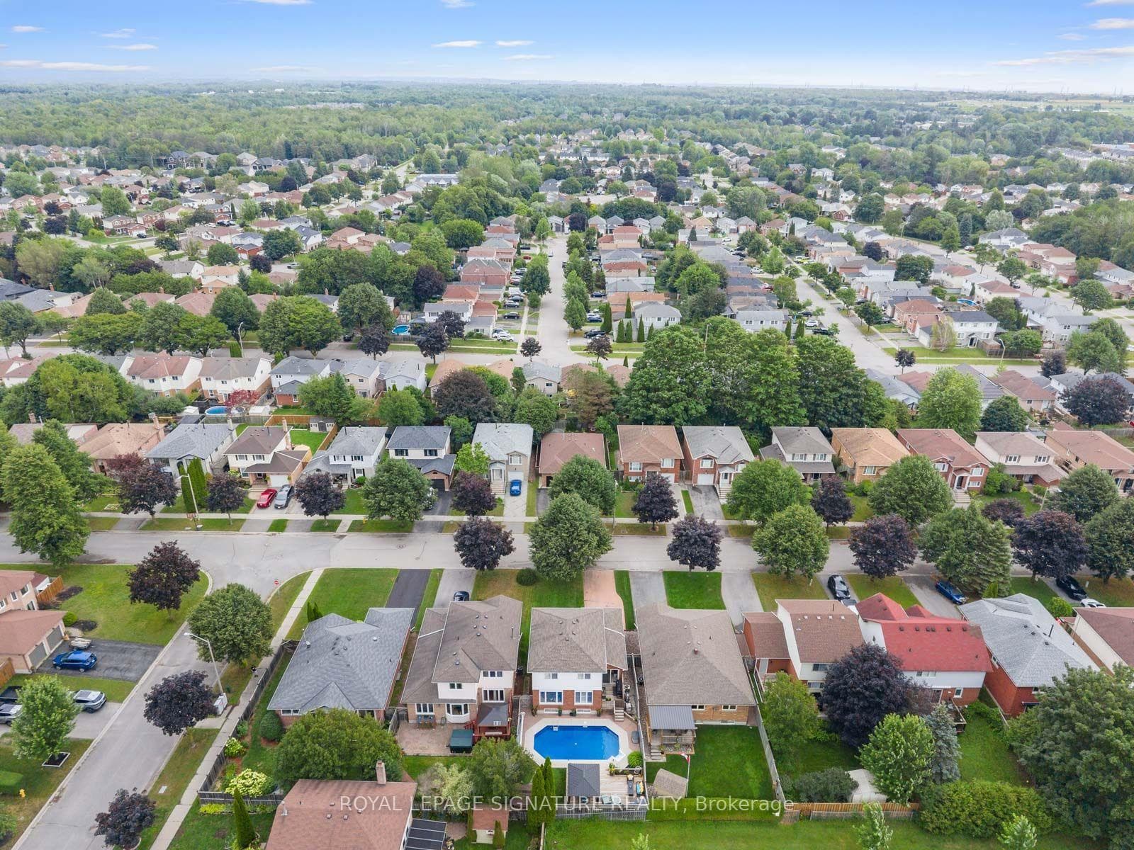 51 Kintyre Street photo 48