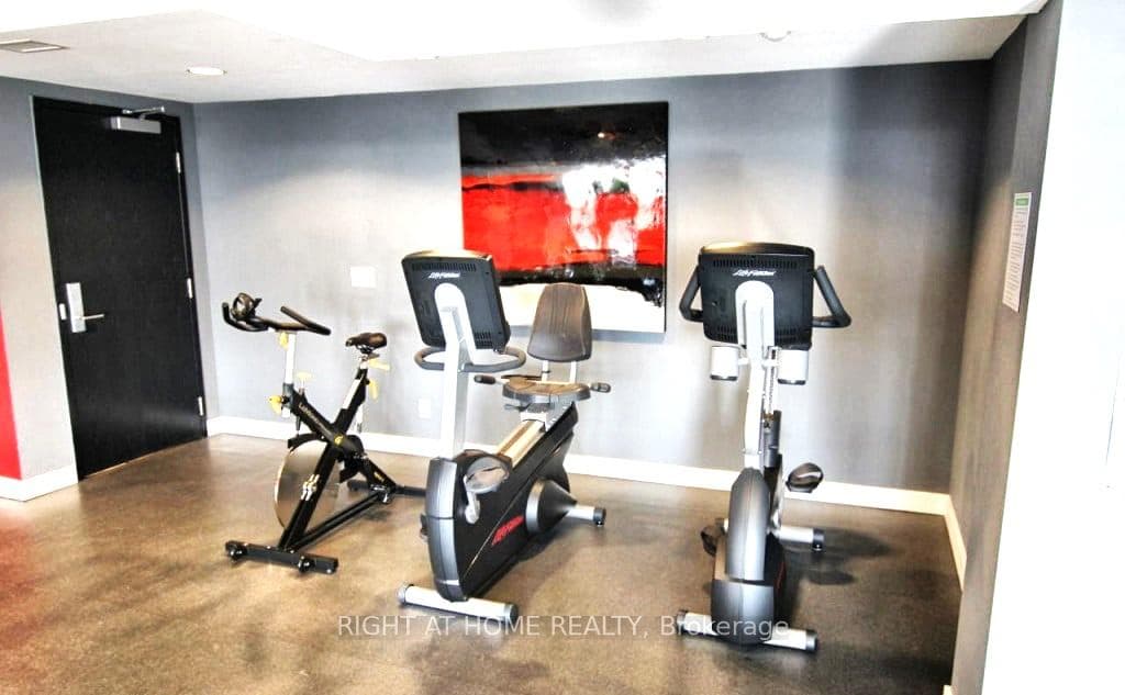 Cardio Bikes - Shared Space