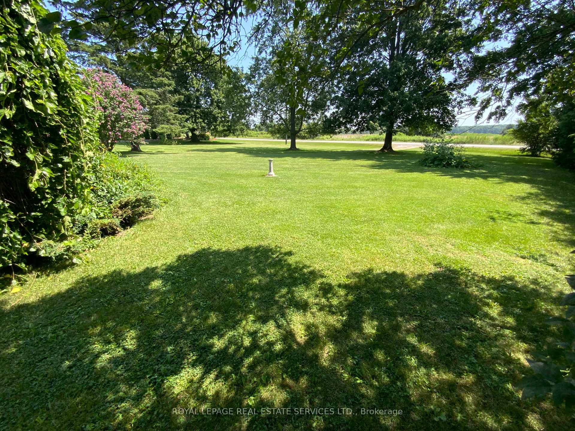 479 Burnhamthorpe Road photo 10