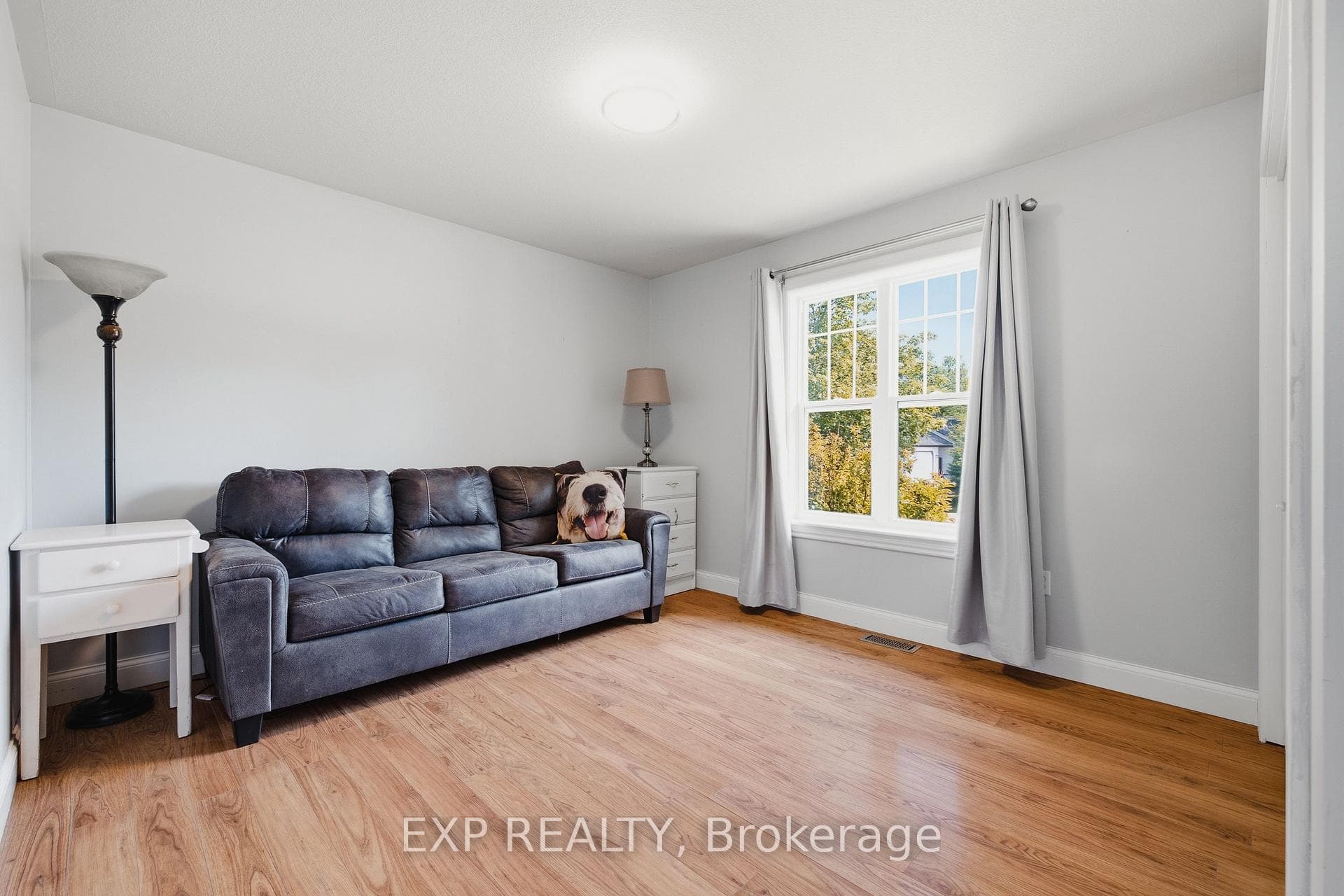 14 Regency Drive photo 24