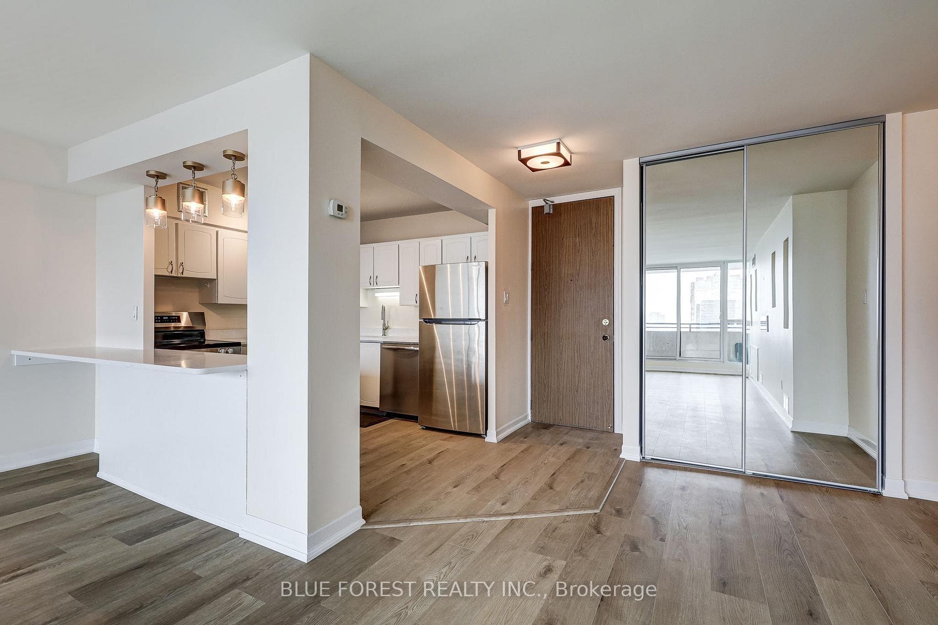 Renovated Kitchen & Front Door