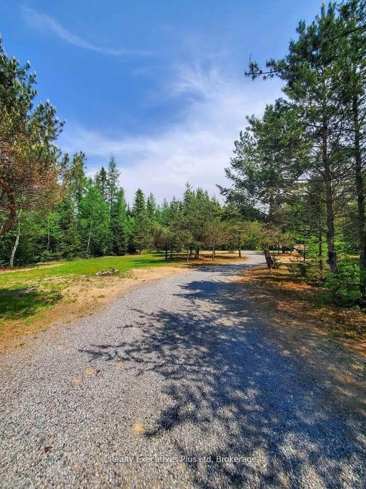 297 Joly Strong Road photo 9