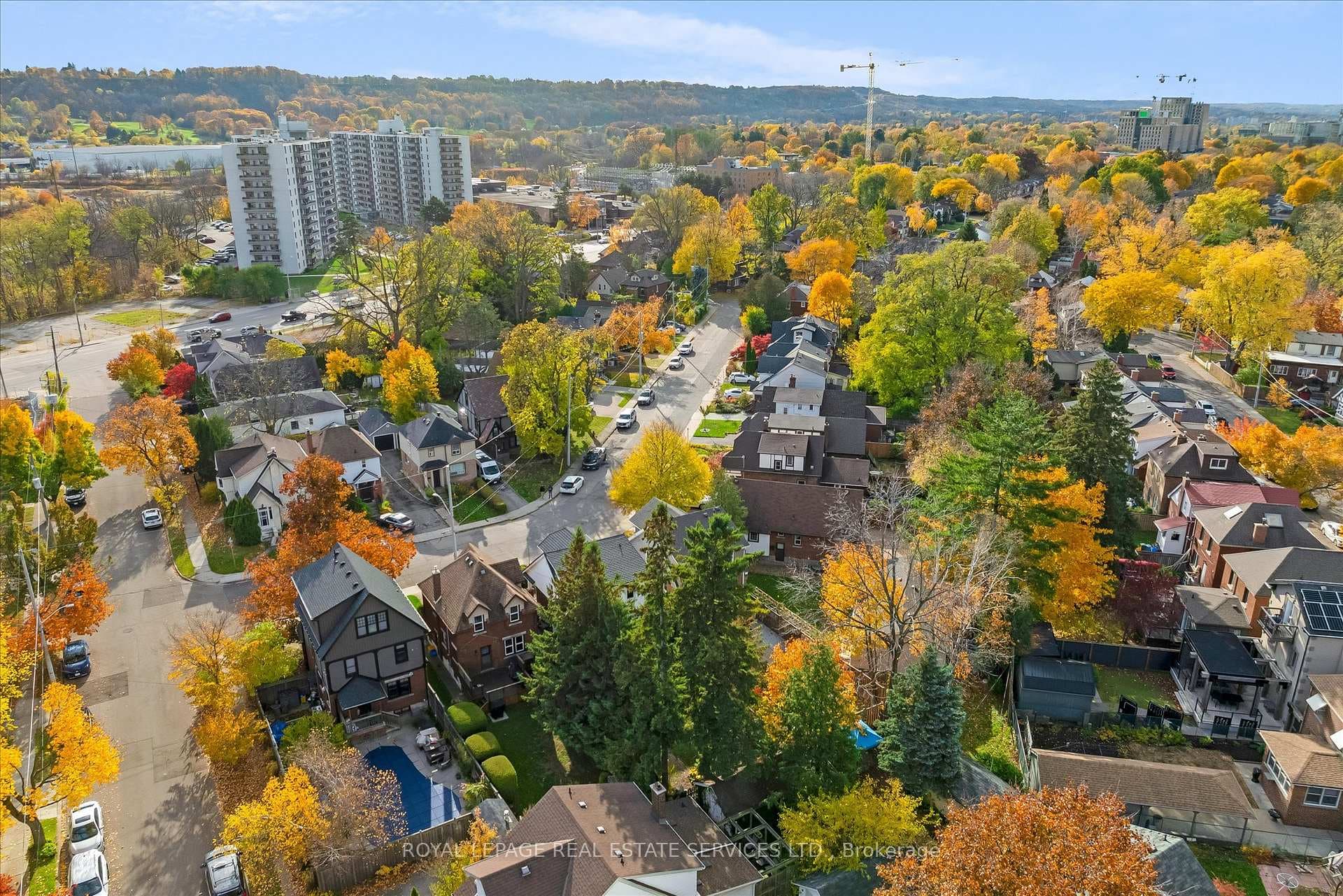20 Arkell Street photo 35