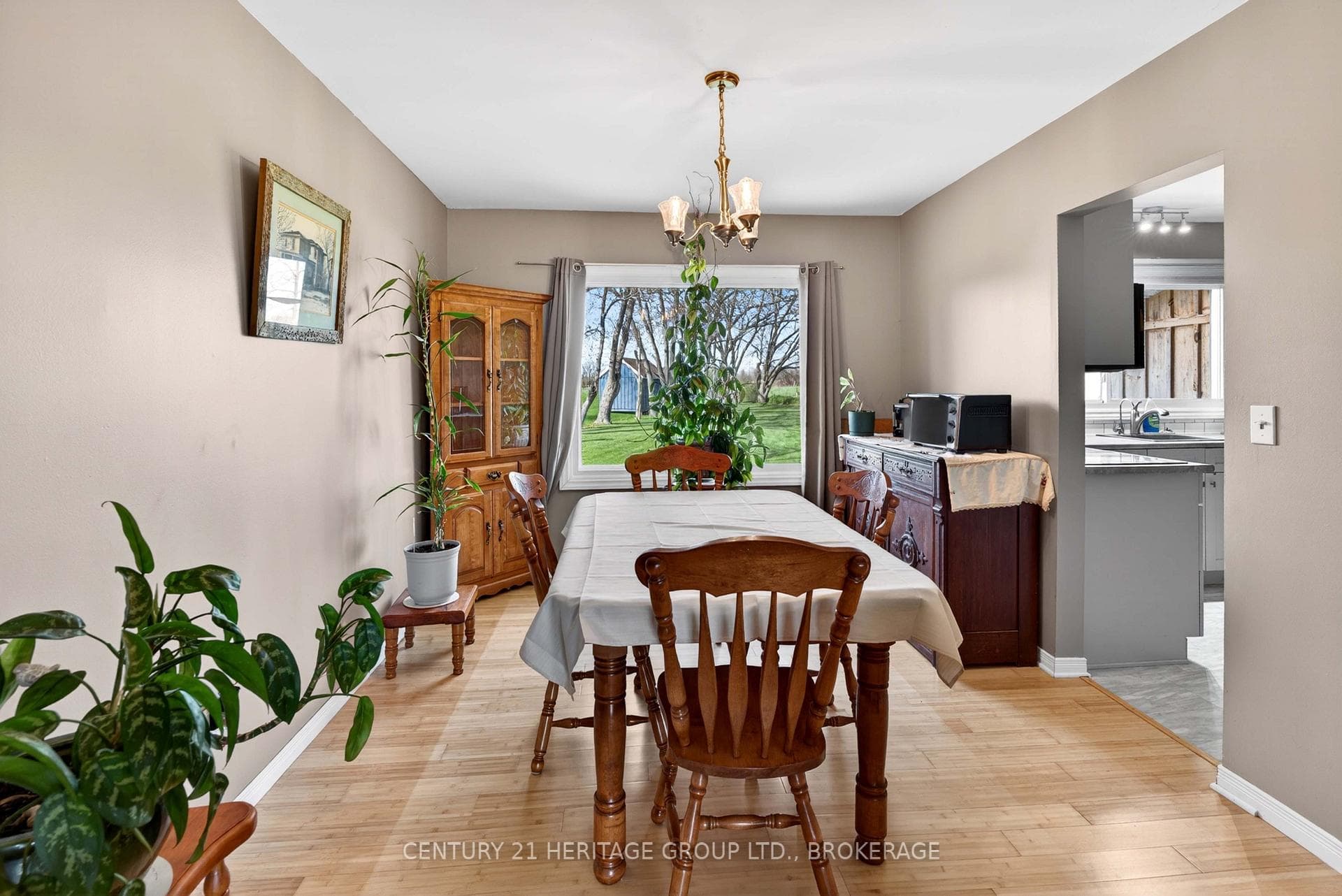 217 Wellington Street photo 7