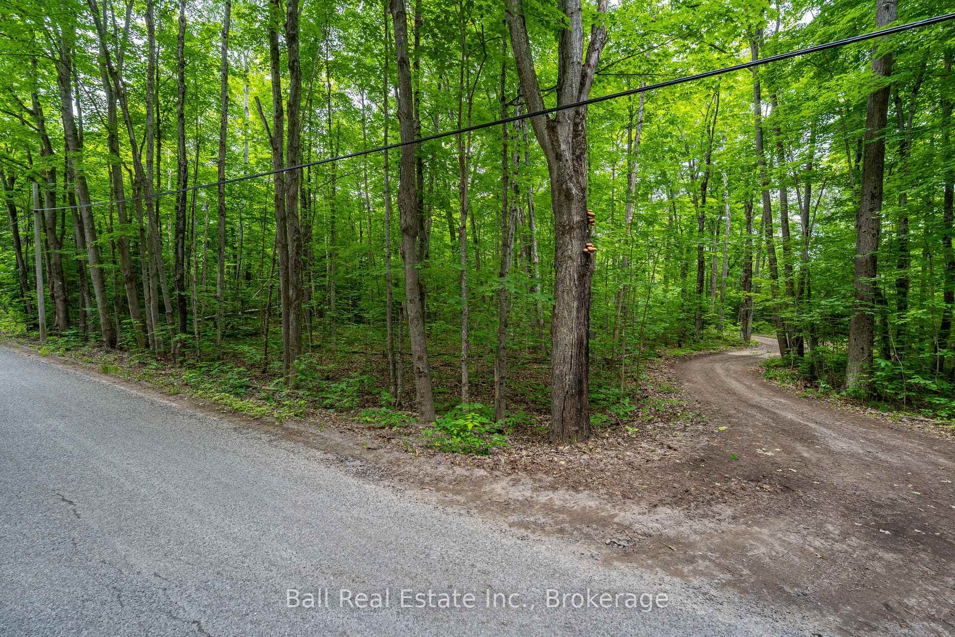 0 Mill Line Road photo 11