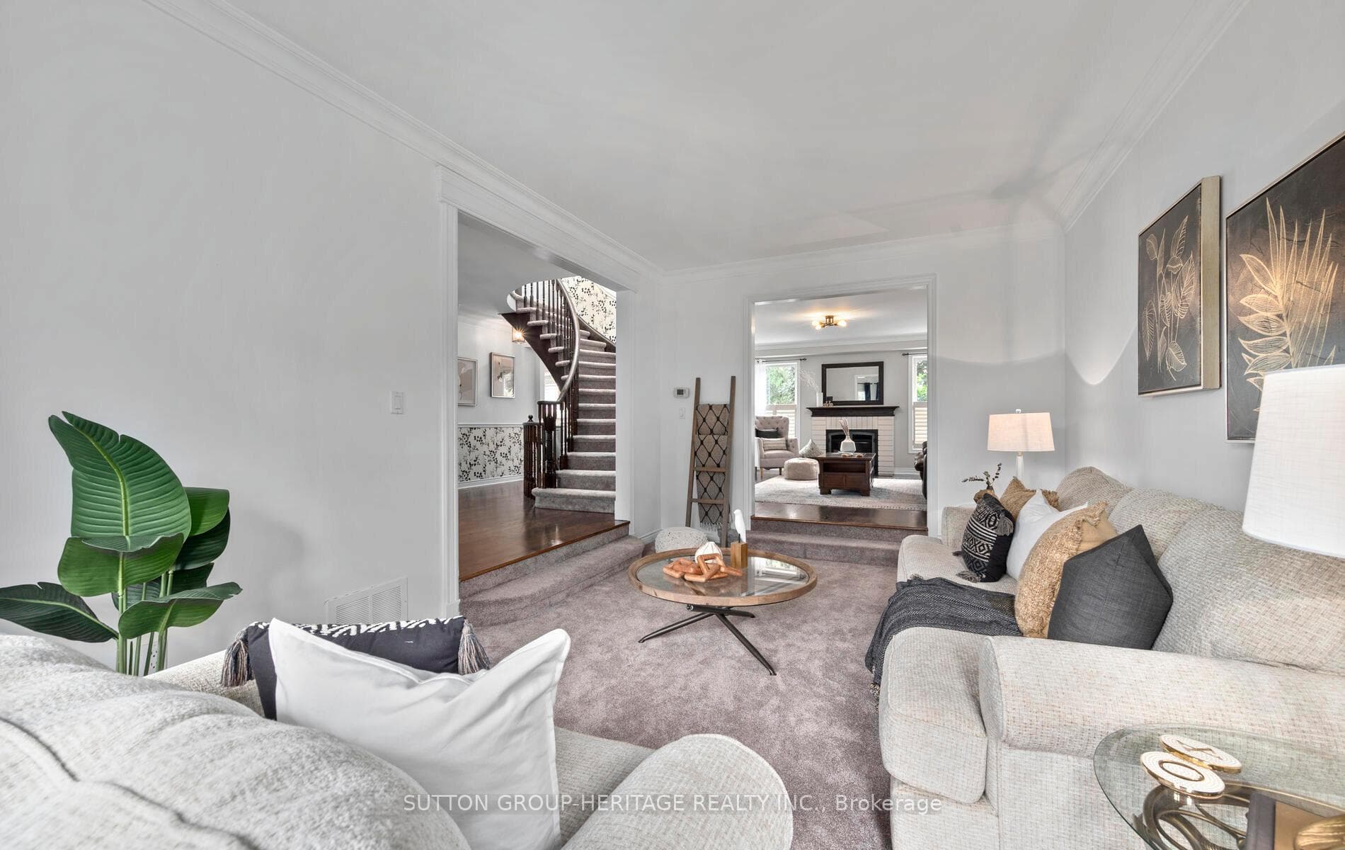 67 Darley Street photo 13