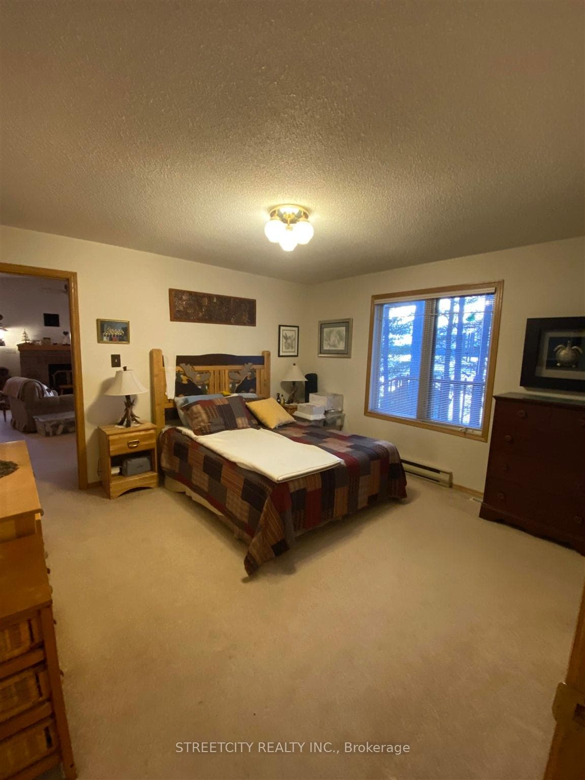 69 One Island Lake Road photo 4