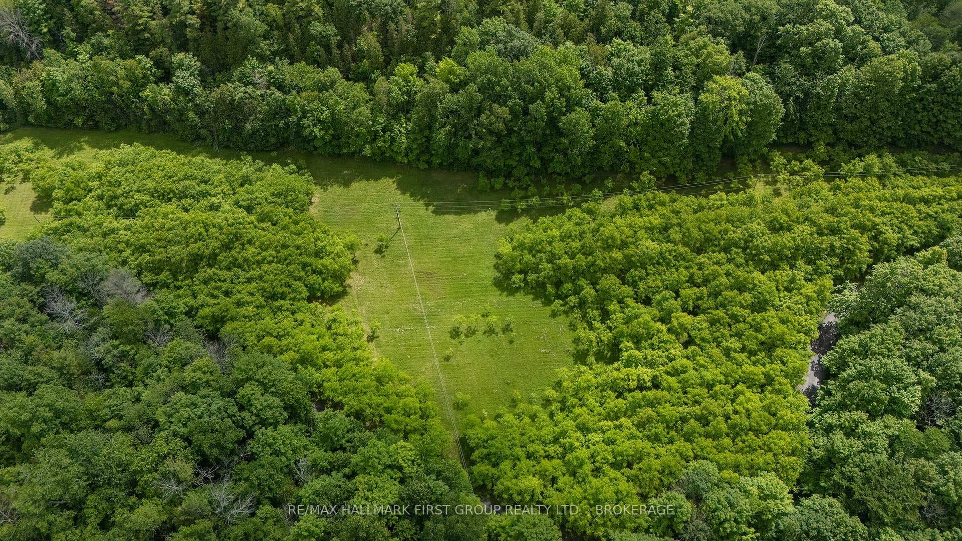 812 Buck Hollow Lane photo 45