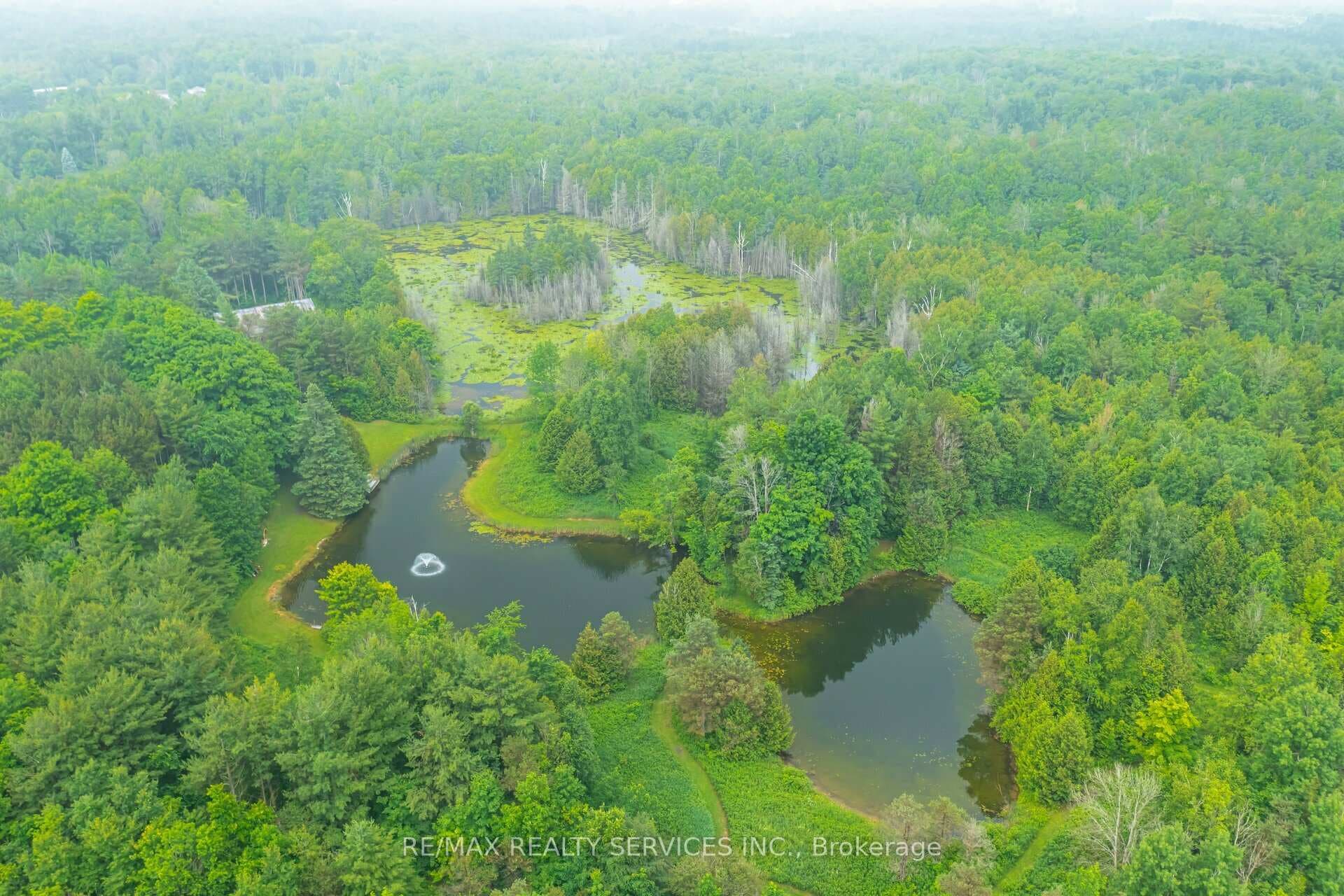 19114 Horseshoe Hill Road photo 40