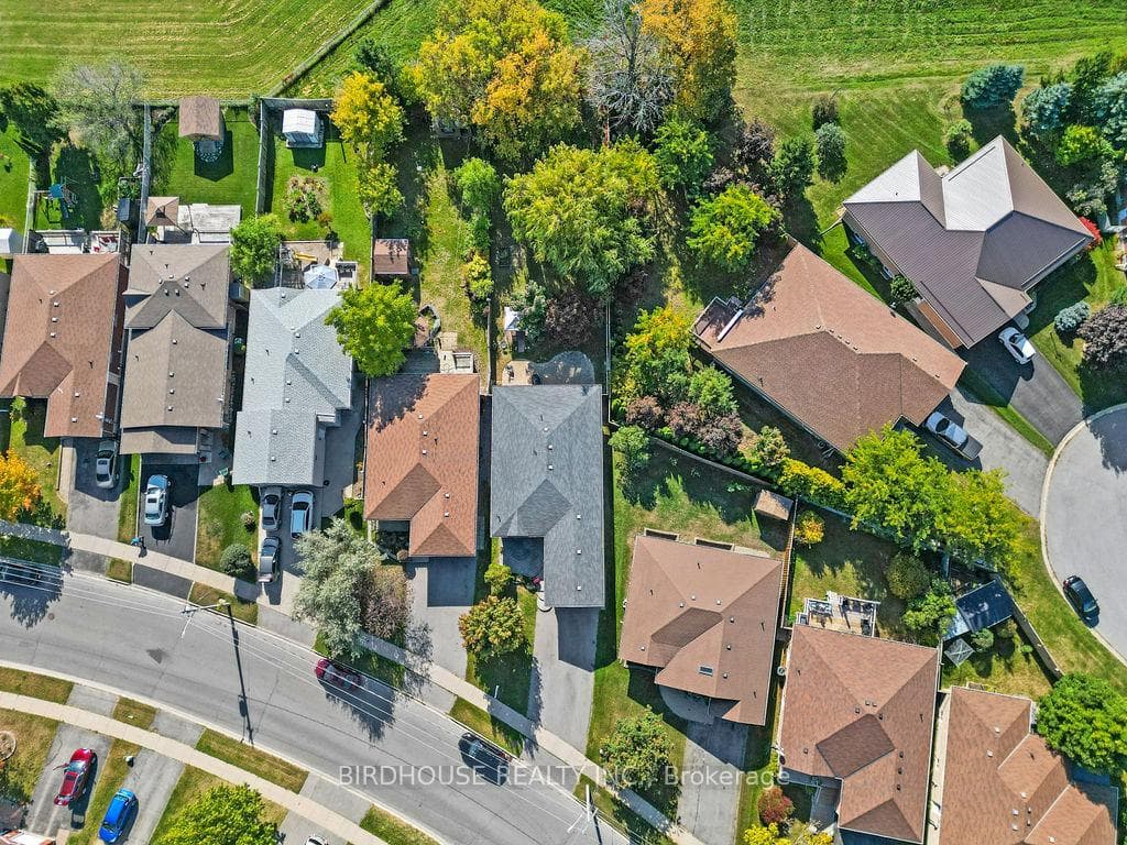 341 Mary Street photo 35