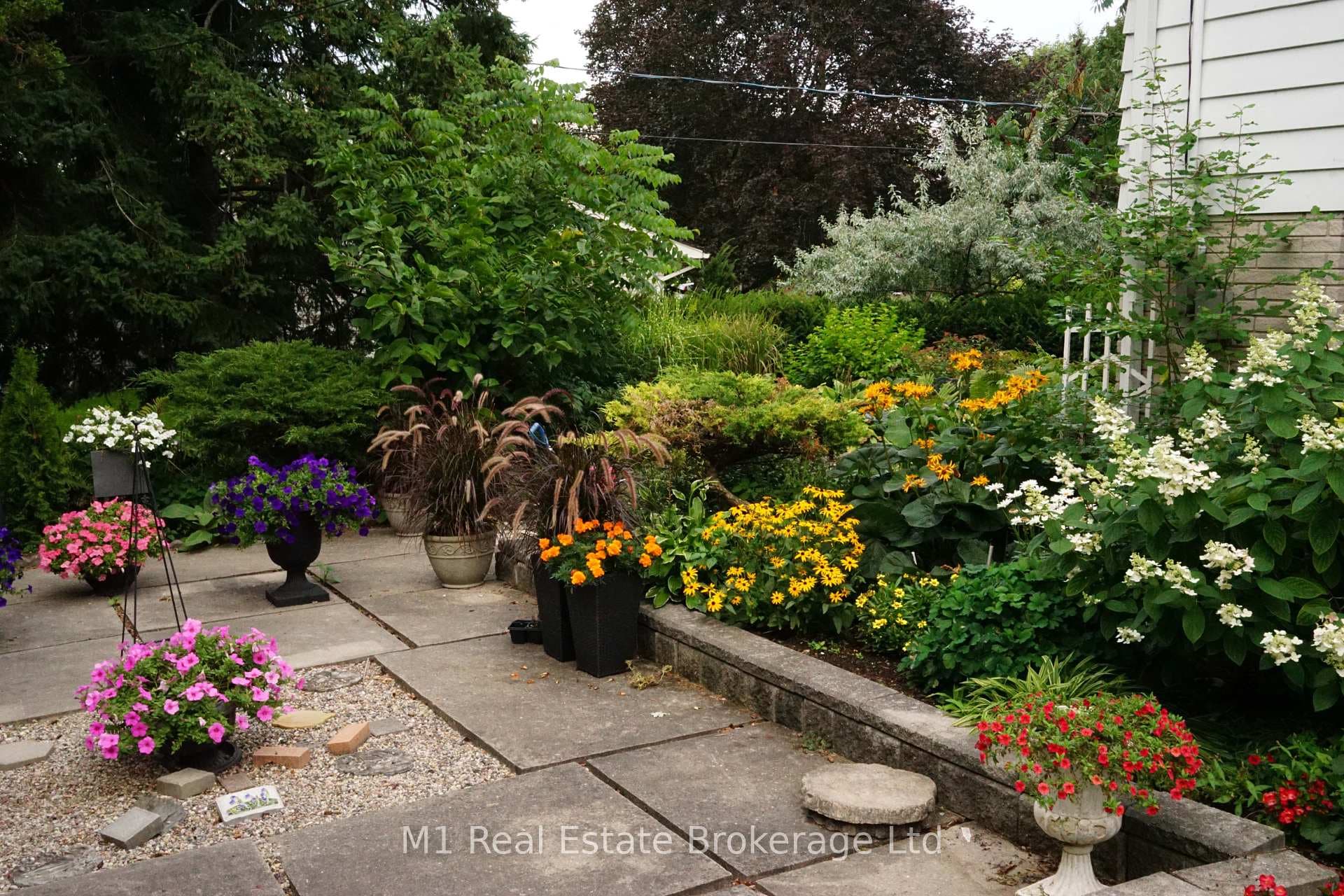 12 Mayfield Avenue photo 11