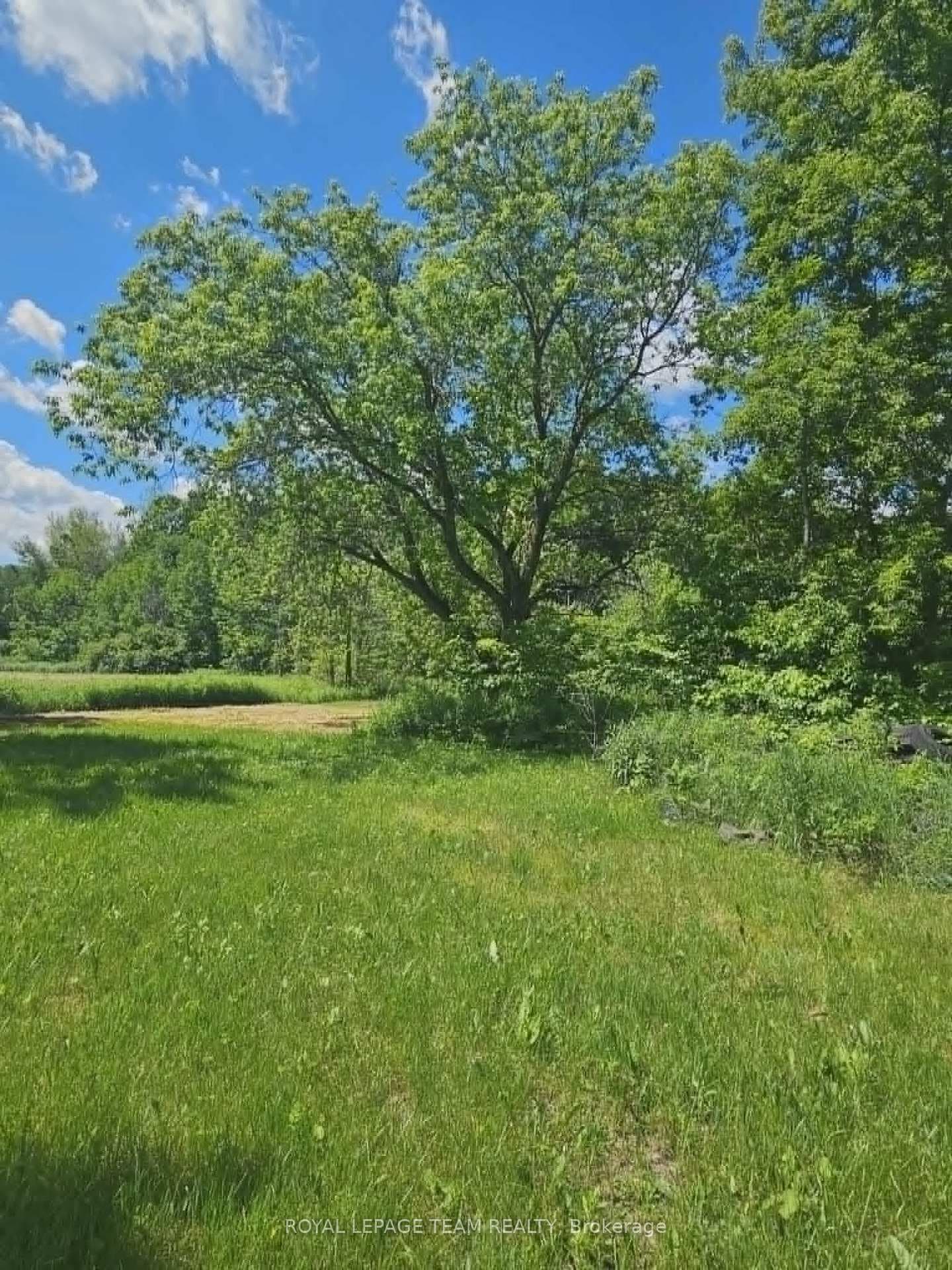 21896 Concession Road 10 Road photo 10