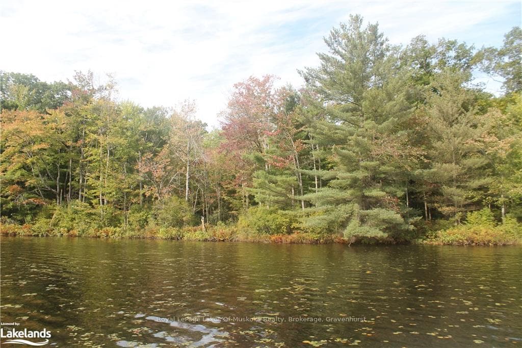 1039 SNIDERS BAY Road photo 21
