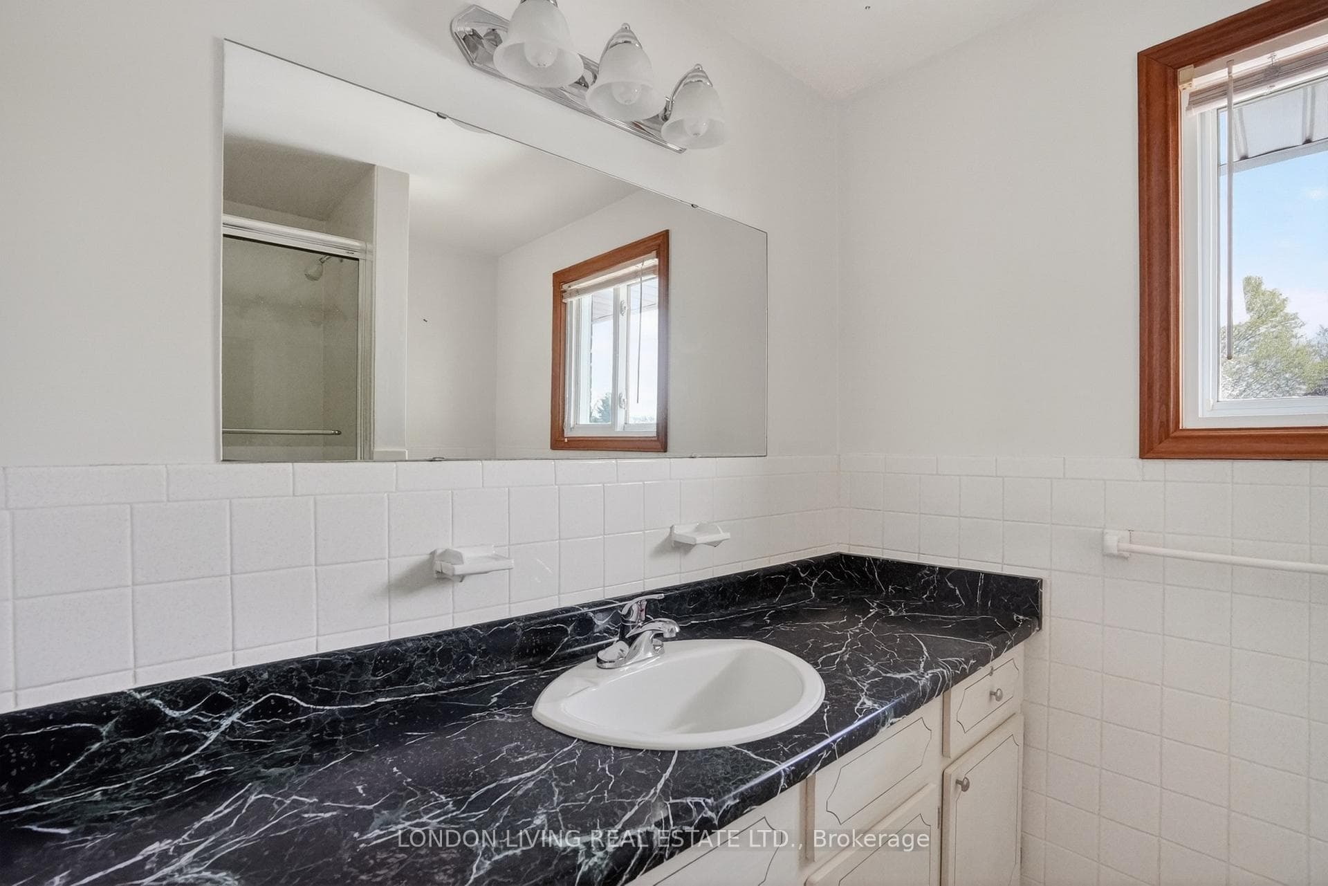 172 Meridene Crescent photo 17